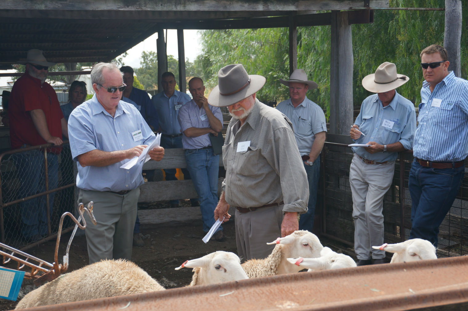 2015.4.1-Lamb-Workshop-Artunga-3-rs.jpg