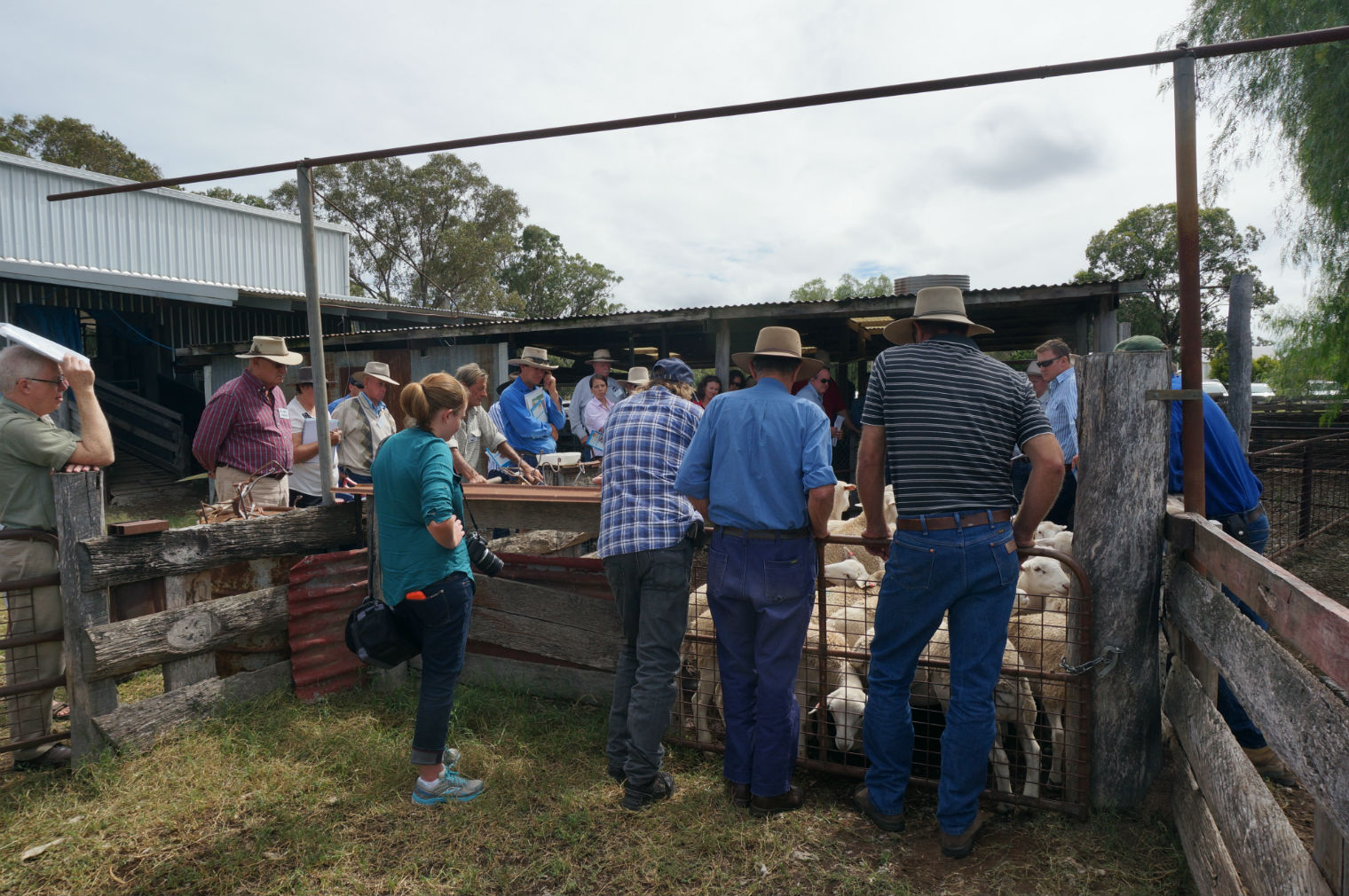 2015.4.1-Lamb-Workshop-Artunga-4-rs.jpg