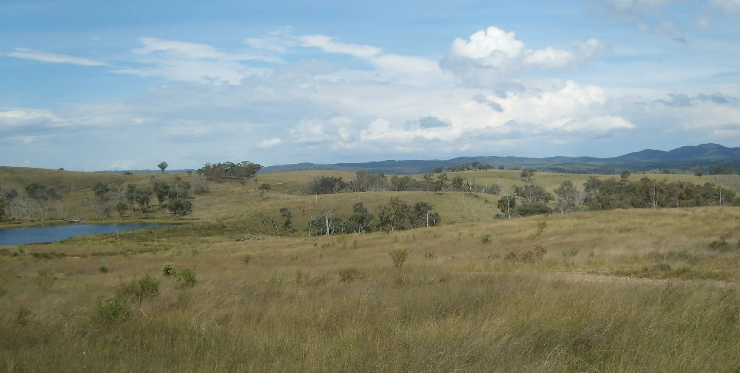 2016 Website Landing page.JPG