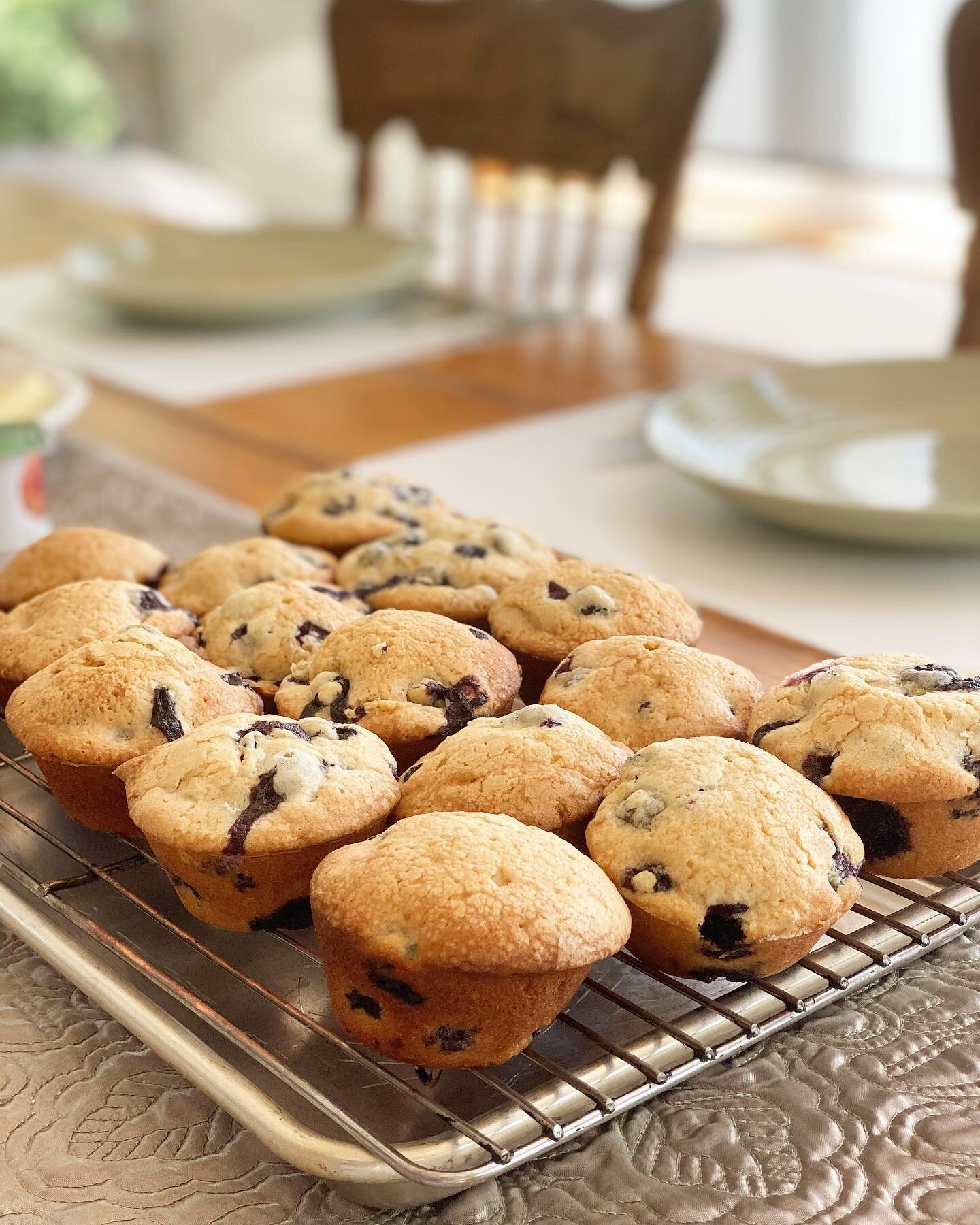 @bcamps makes breakfast muffins that would impress the most stern of Grans.