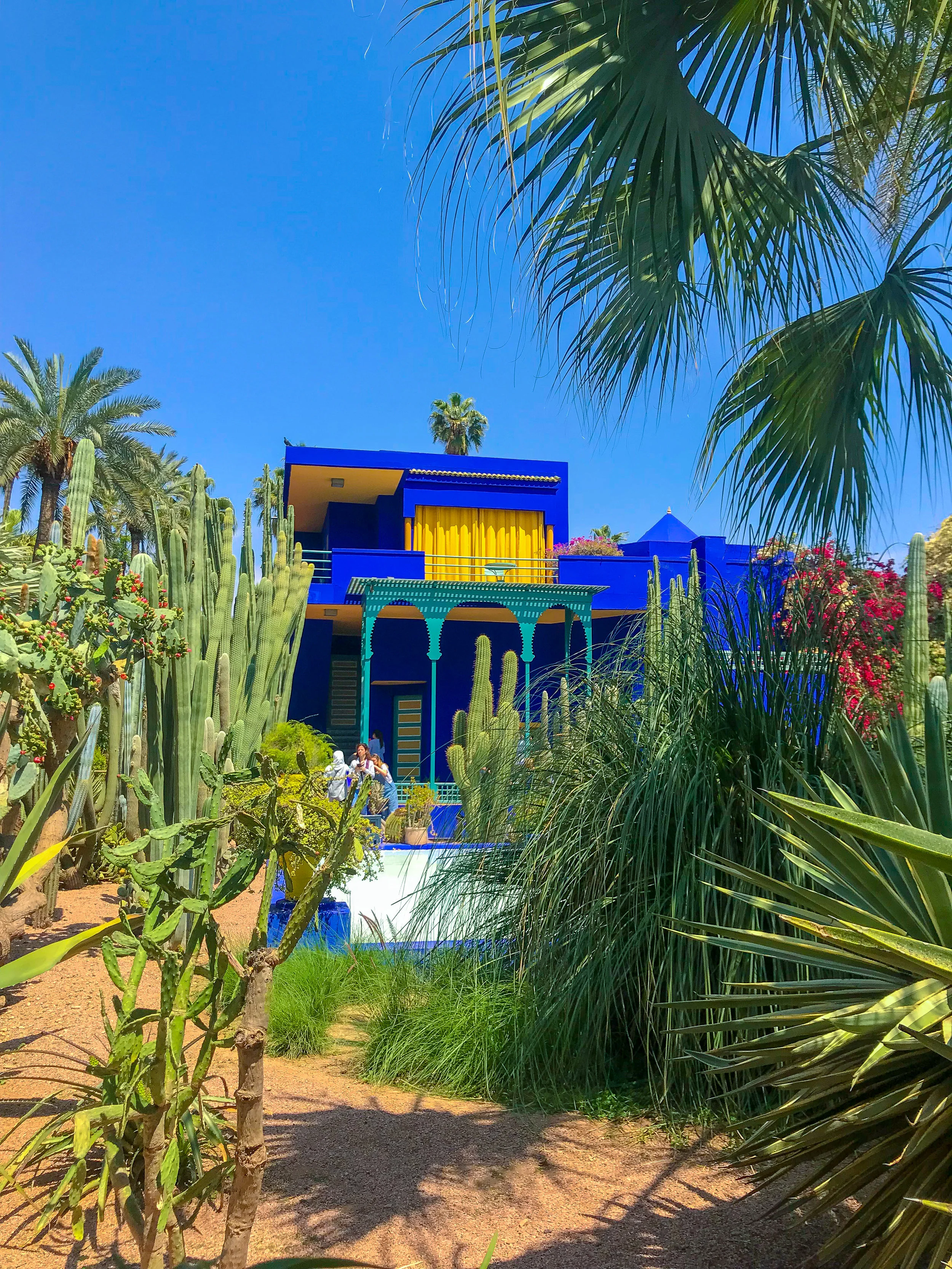 YSL Gardens - Marrakech Morocco | coupleinthekitchen.com