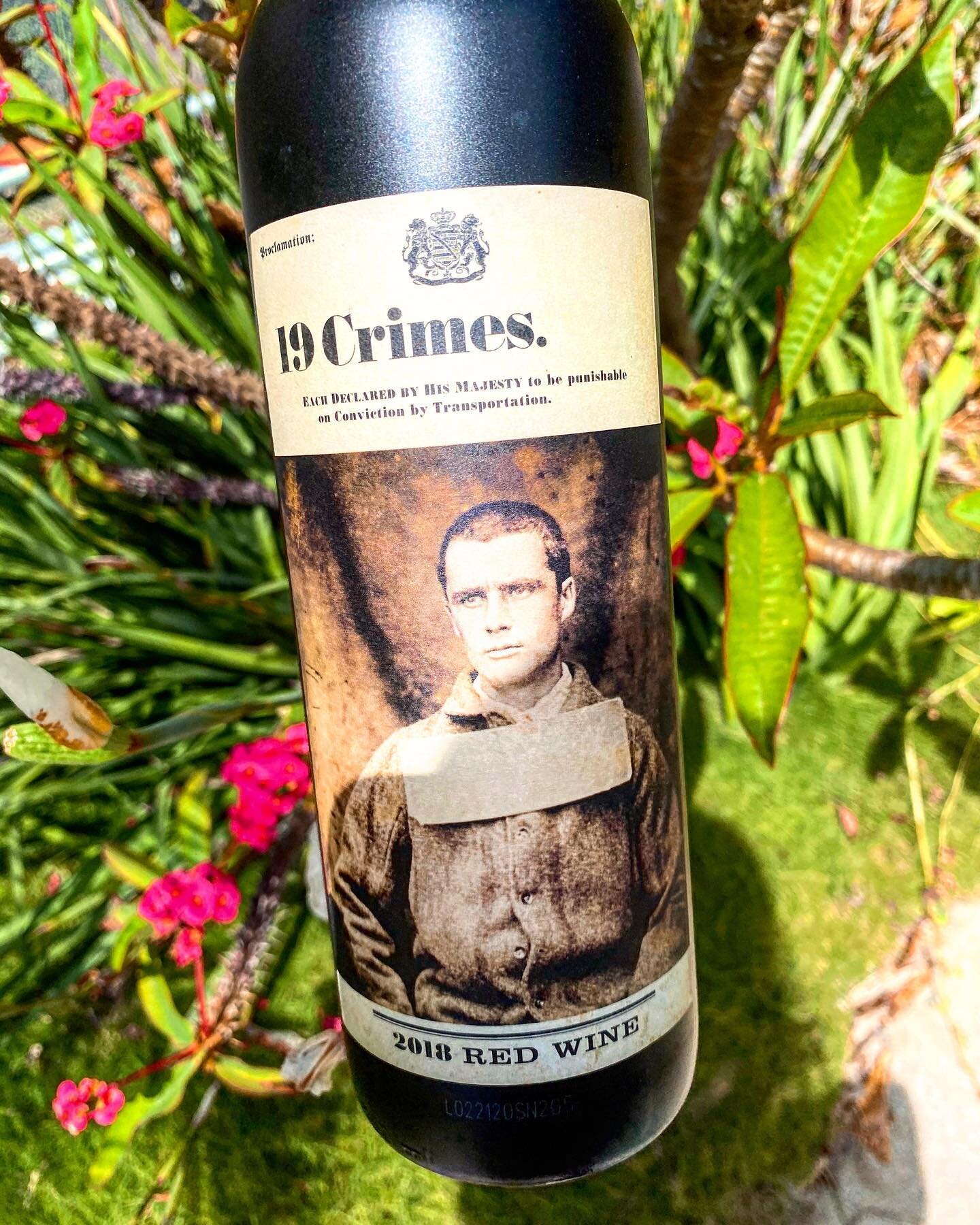 After drinking many (...many) bottles of @19crimes , I finally collected all 19 corks, including @snoopdogg Cali Red 🍷 I&rsquo;m a big fan of 19 Crimes wines and can&rsquo;t wait to see who they collab with next. 🥳 Anyone else collect all 19 corks?