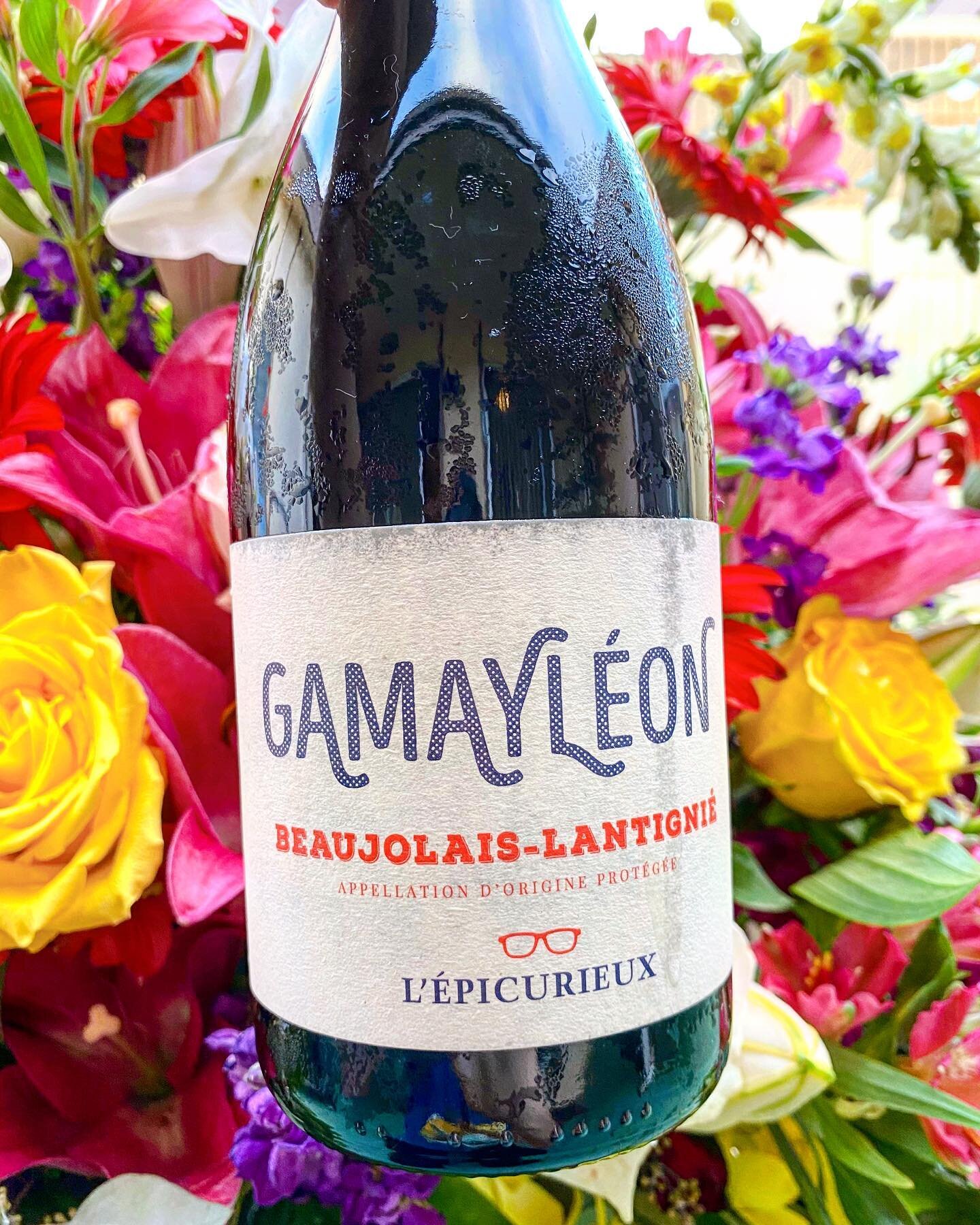 I always love the selections @helenswines has like this delicious &ldquo;Gamayl&eacute;on&rdquo; Beaujolais-Lantignie from L&rsquo;Epicurieux 🍷 I 10000% trust her picks when you pick the &lsquo;surprise me&rsquo; options in her wine deliveries. This