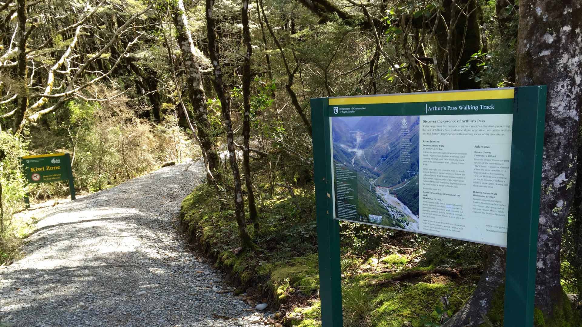 One of many local walks