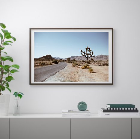 Joshua Tree National Park no. 02