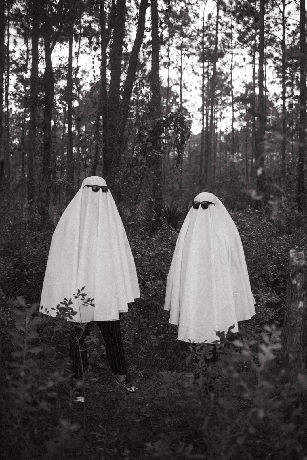 Schedule a Halloween Photo Shoot with Your Boo in Jacksonville, Florida