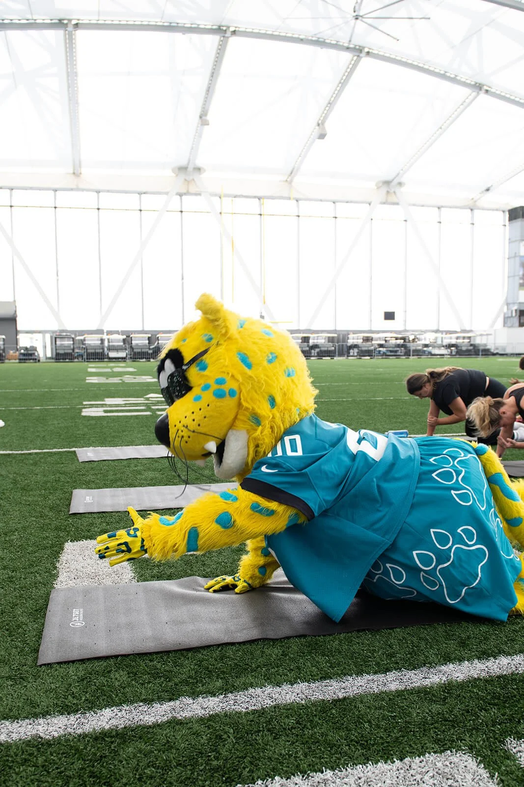 jetset-jags-6497_websize.jpg