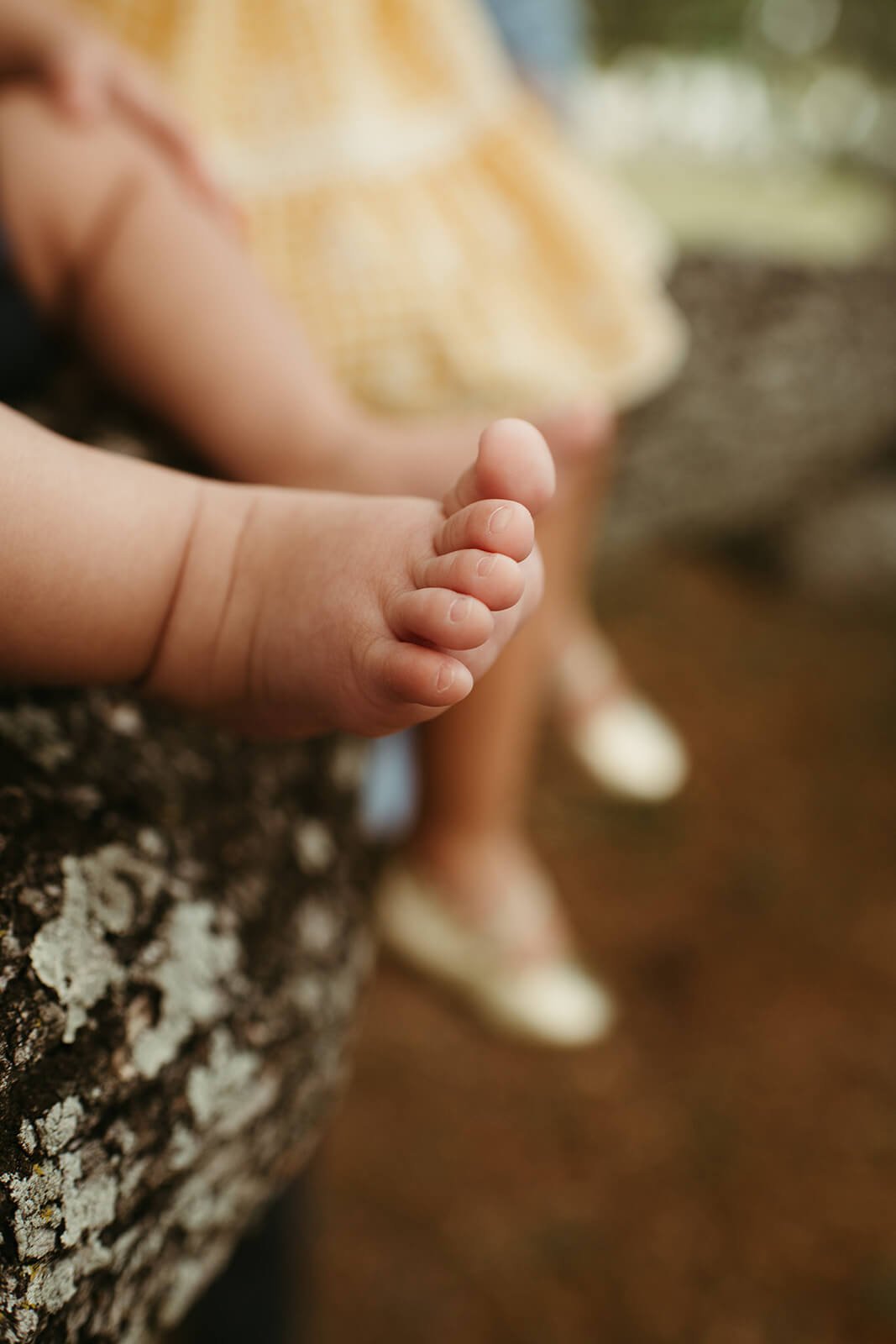 jacksonville-family-photographer-3086_websize.jpg