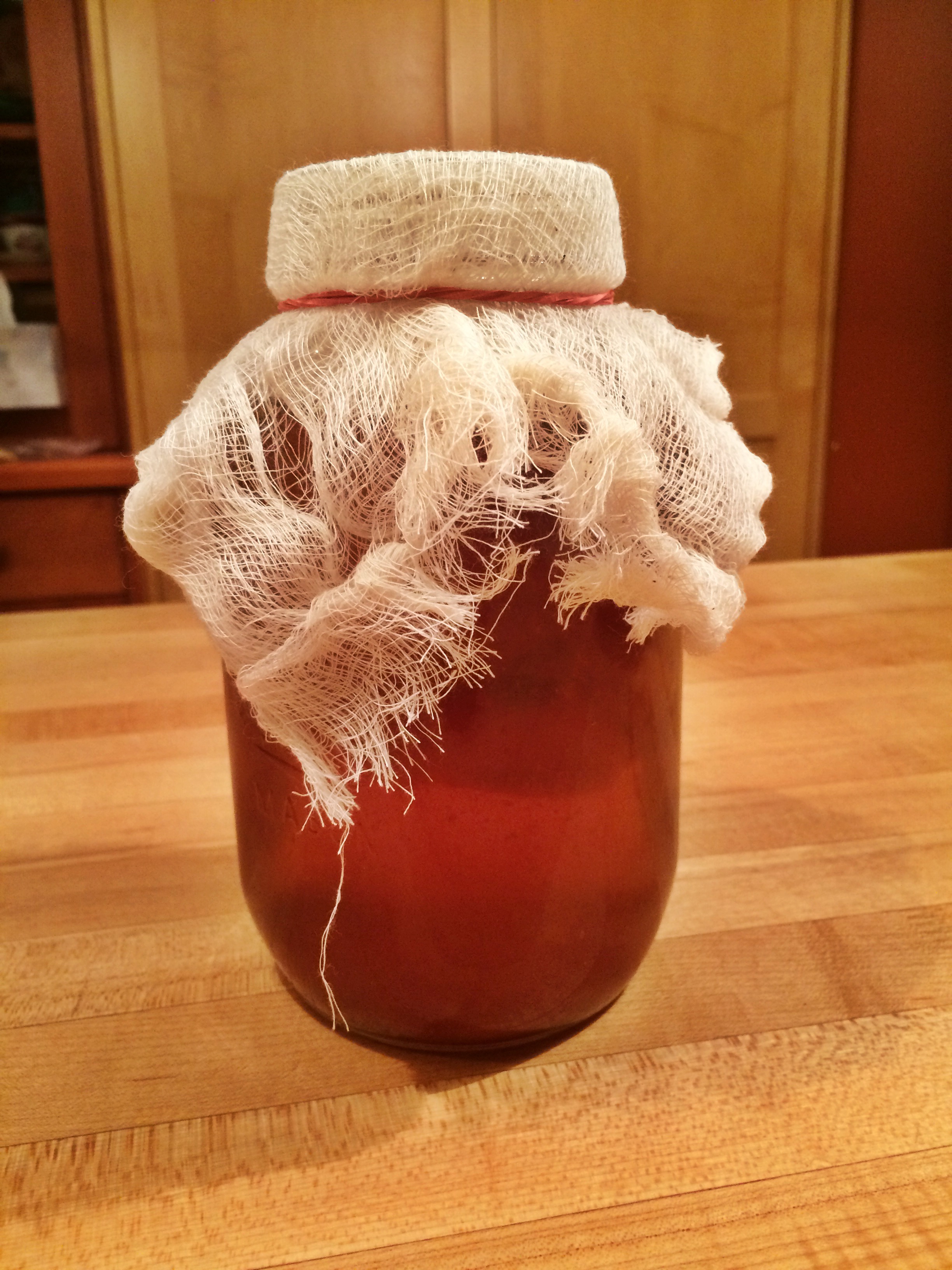 My Basic Kombucha Recipe