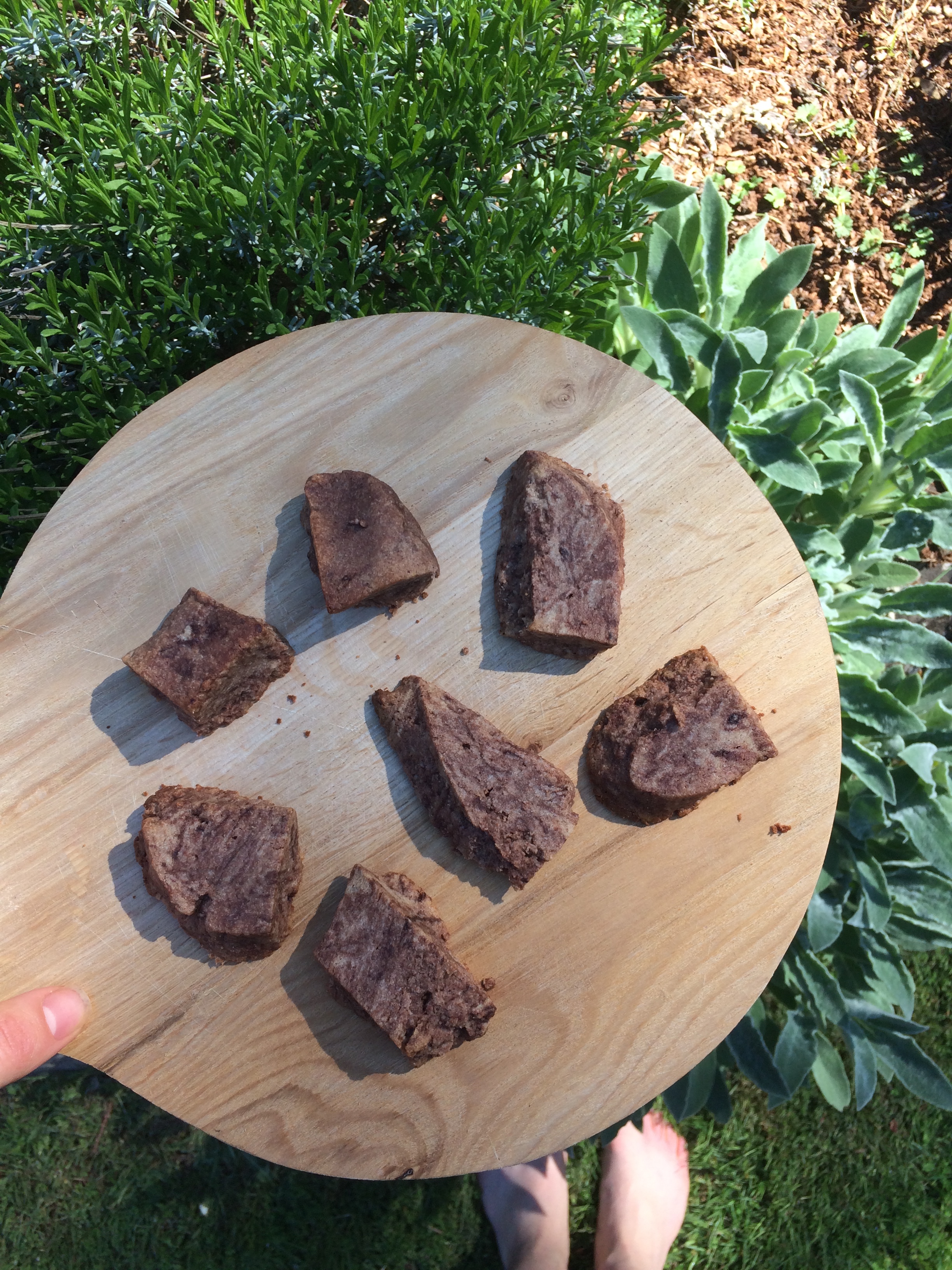 Cardamom Honey Chocolate Tahini Cookies