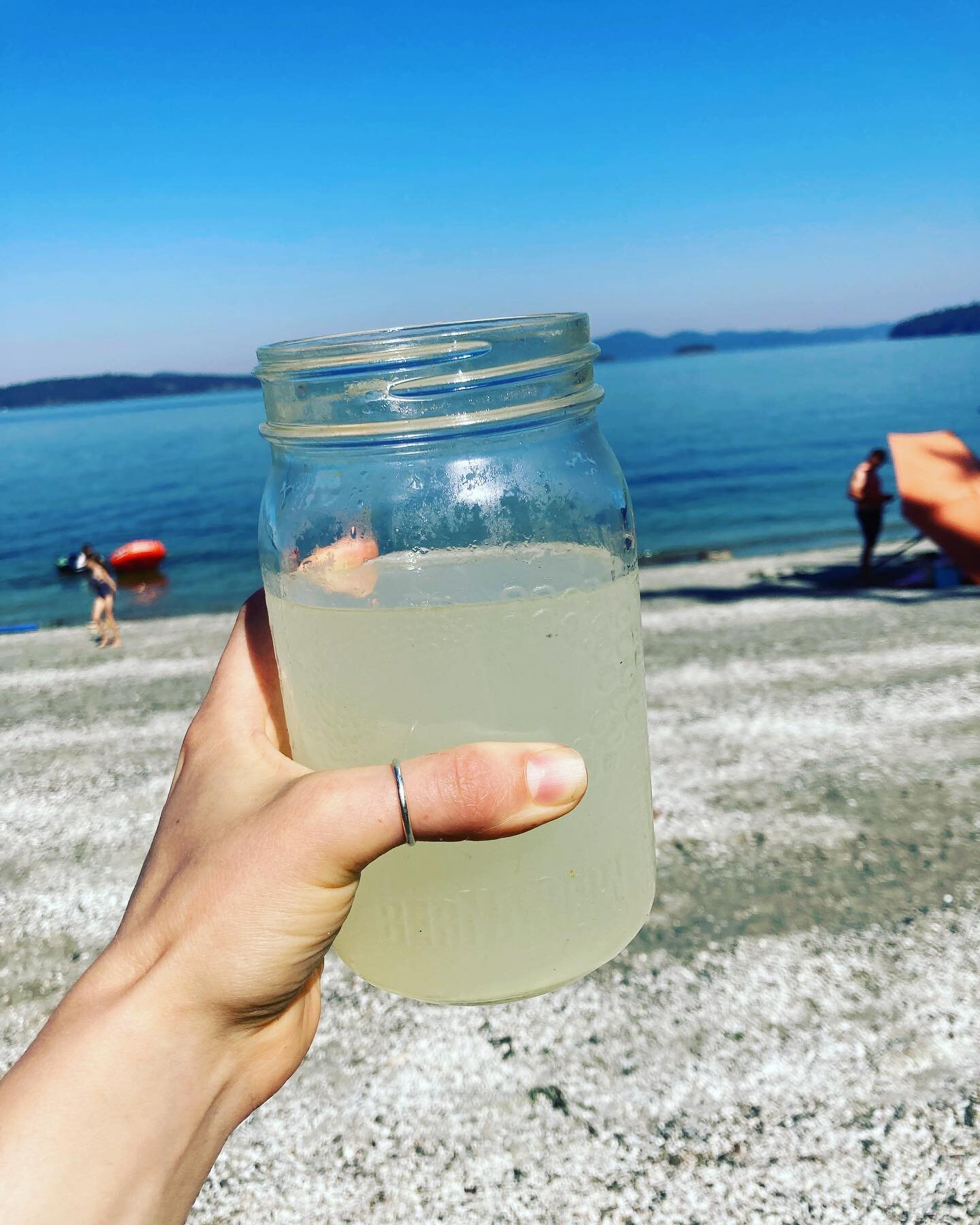 Updates from the beach! Thought I&rsquo;d share my homemade electrolyte recipe on this record breakingly hot day. 

When you sweat you lose not only fluids but also electrolytes such as sodium, potassium, chloride, and others. These electrolytes play