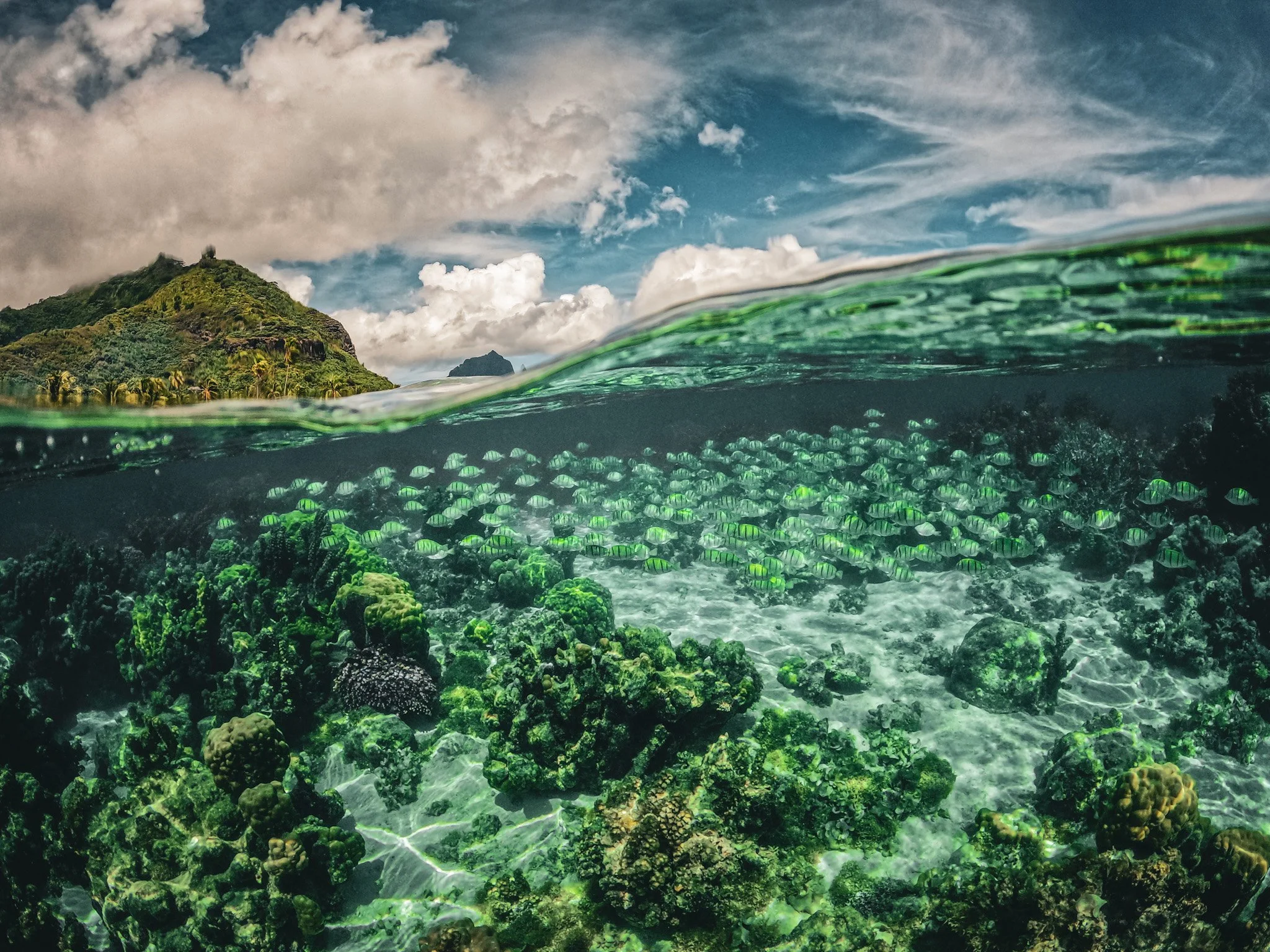 GPTempDownload 2.jpg