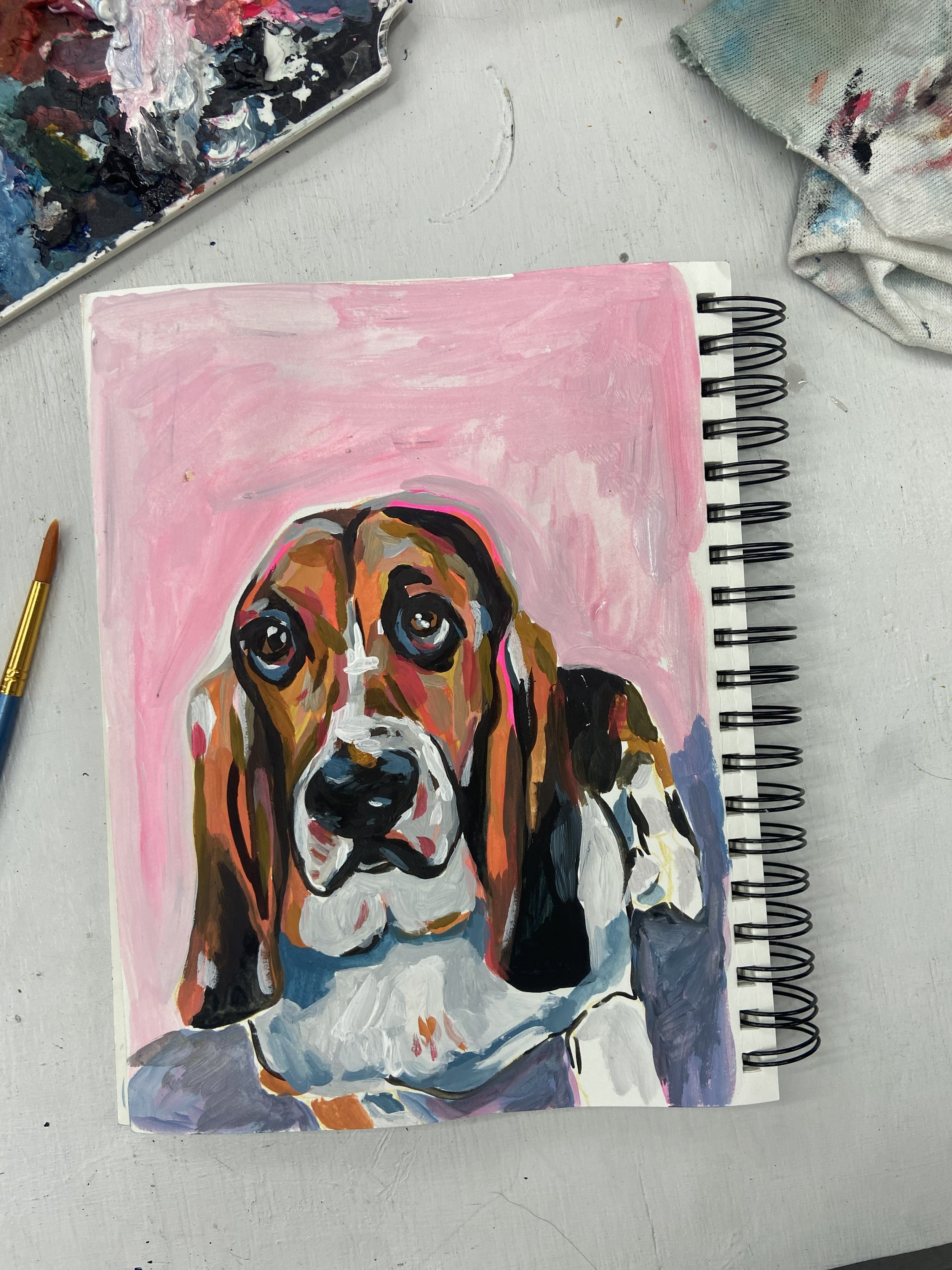 stella.jpg