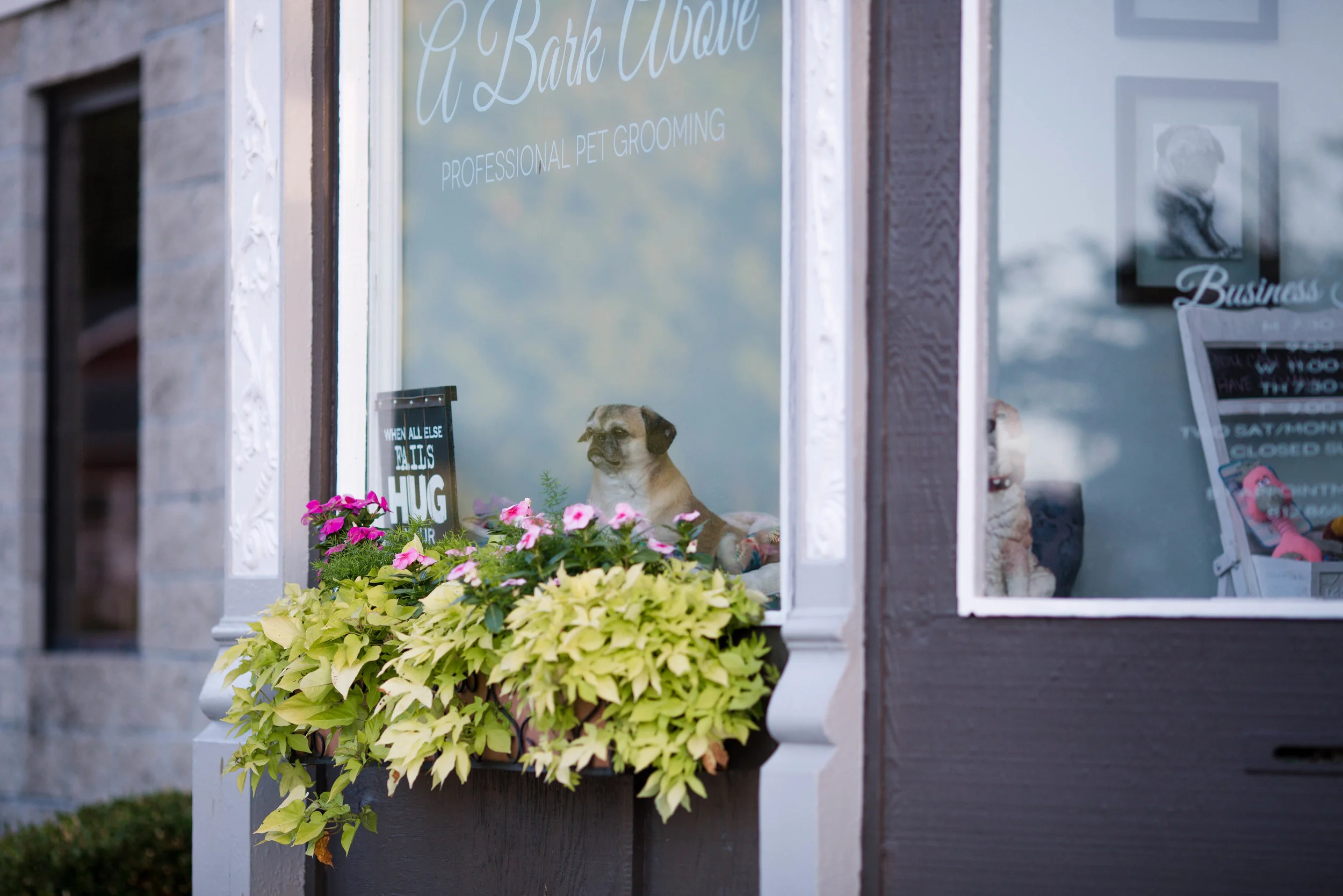 a bark above mobile pet grooming