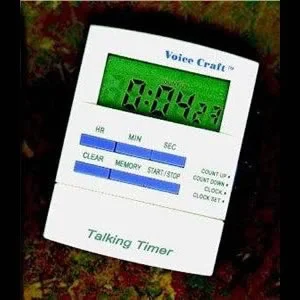 Talking Timer