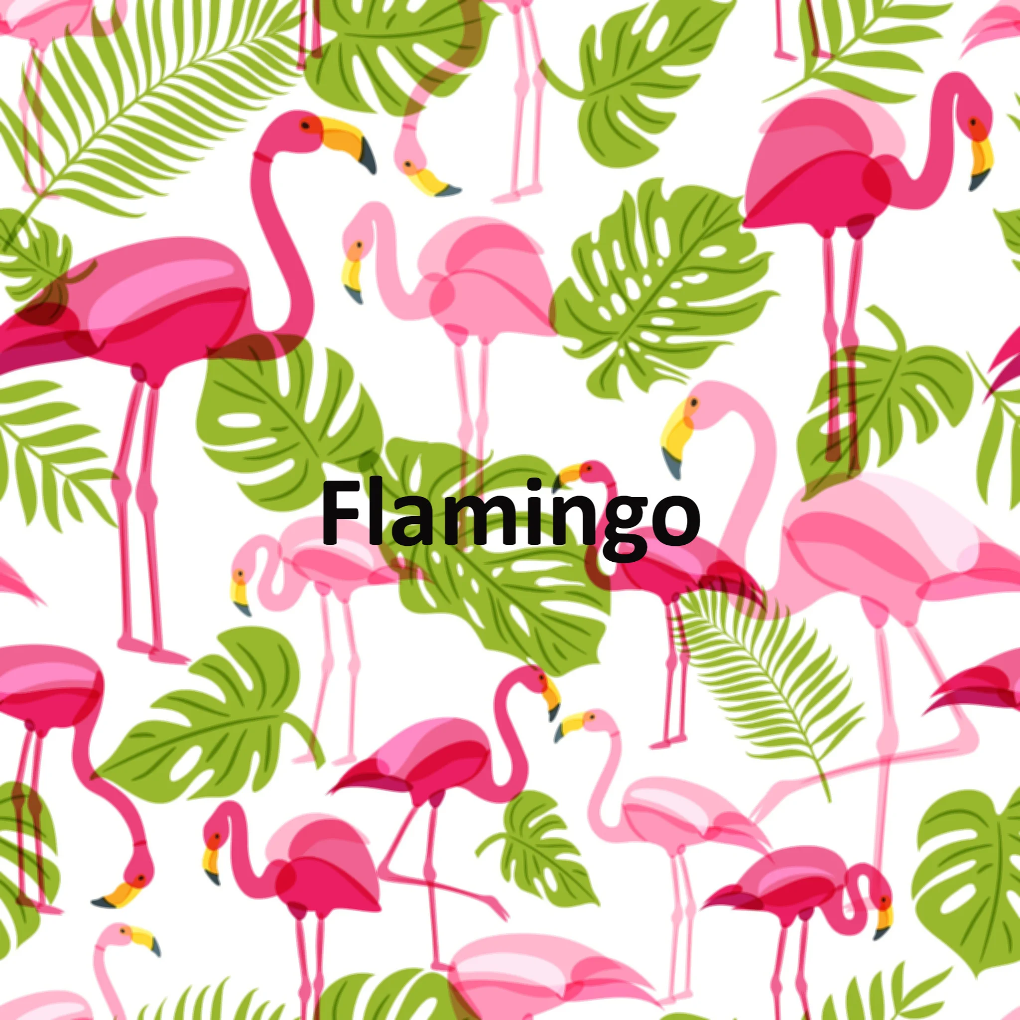 Flamingo.jpg