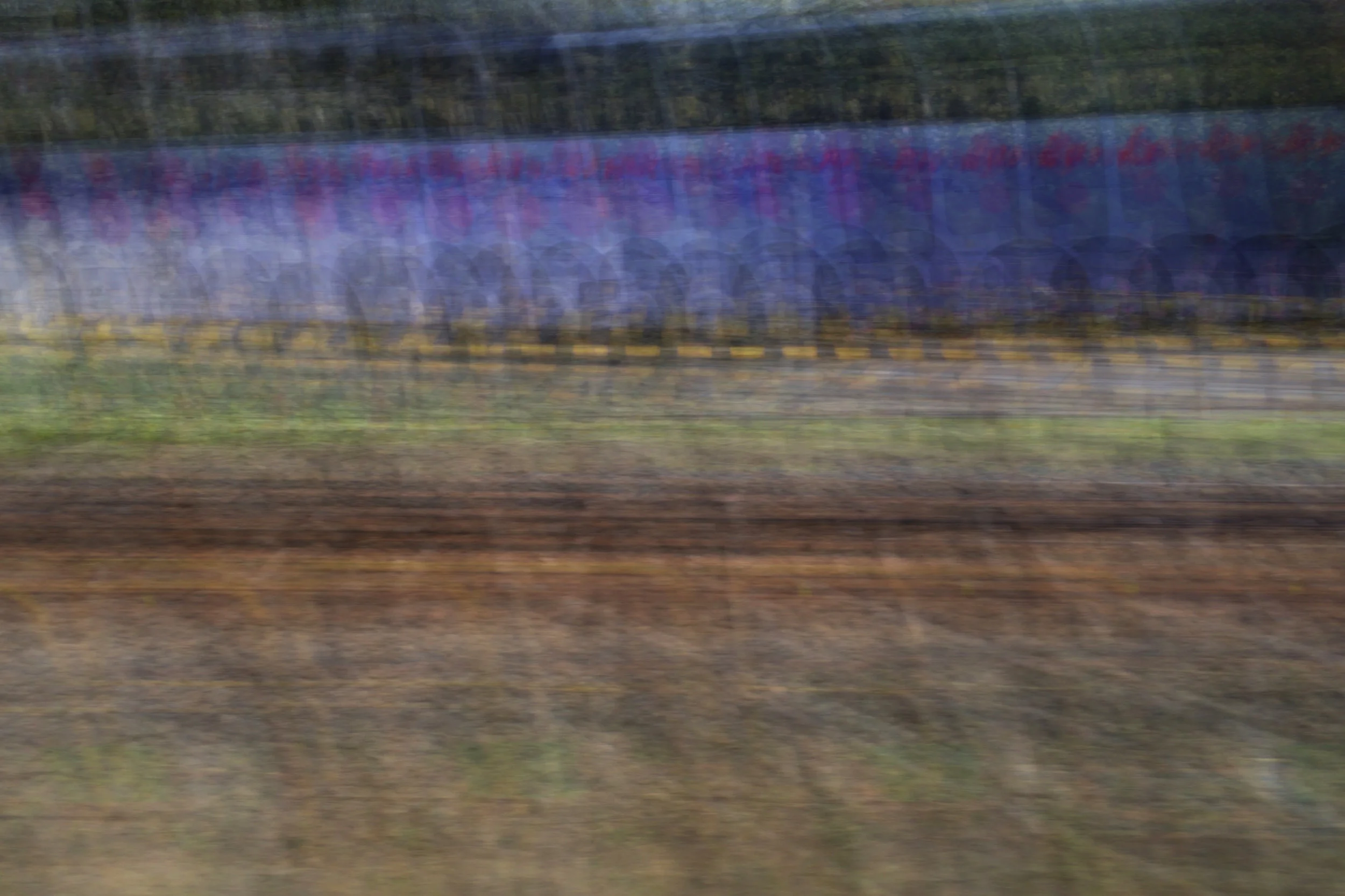 Narita Express (Number 5)