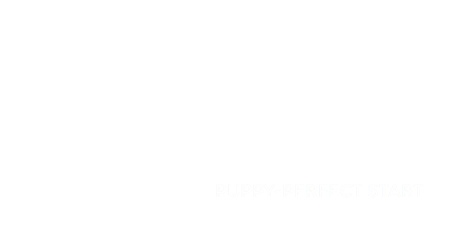 Ann Jackson's Puppy-Perfect Start
