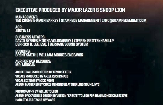 SNOOP LION - REINCARNATED [LP] — JUSTIN LI