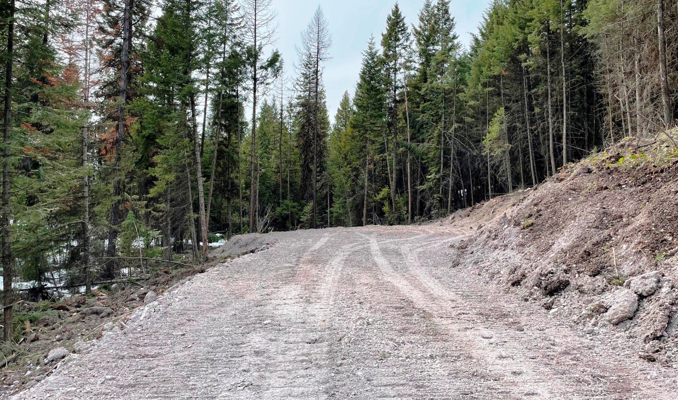 2022-03-11 New Baldy Heights Parcel Driveway - End of the Driveway Build Site (in the distance).jpg