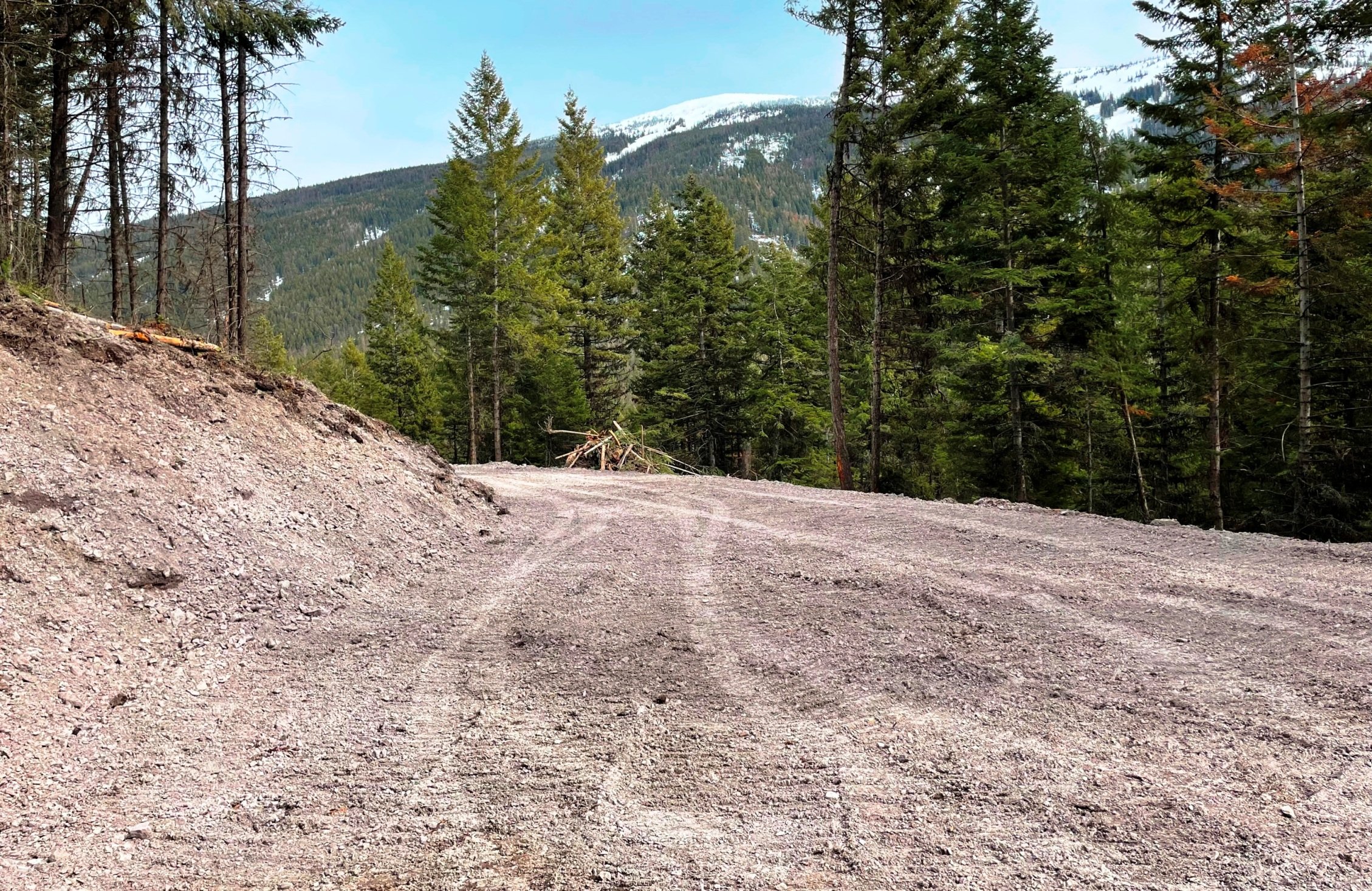 2022-03-11 New Baldy Heights Parcel Driveway - End of the Driveway looking back towards Mt. Baldy.jpg