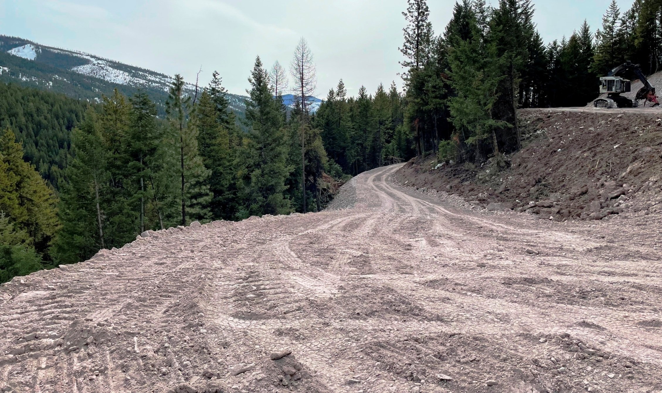 2022-03-11 New Baldy Heights Parcel Driveway - Looking back South with Labrador Lane on the upper right.jpg