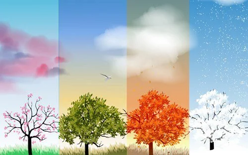Why Life Isn’t Meant to Stay the Same All Year: The Macrocycle