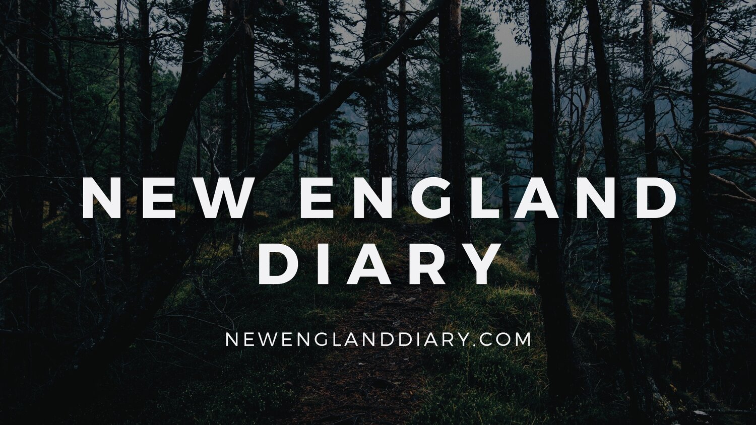 New England Diary