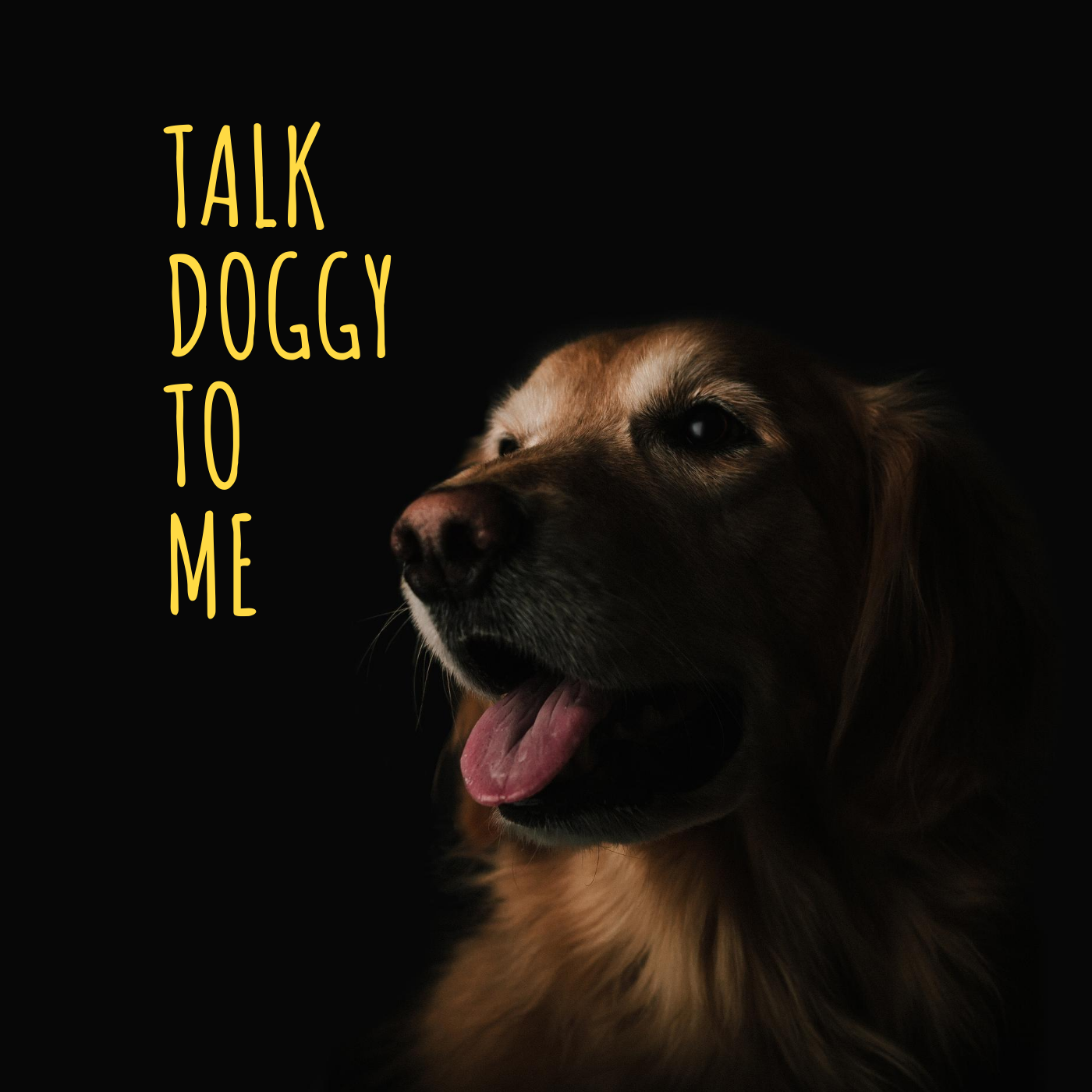 Untitled Design 2.PNG