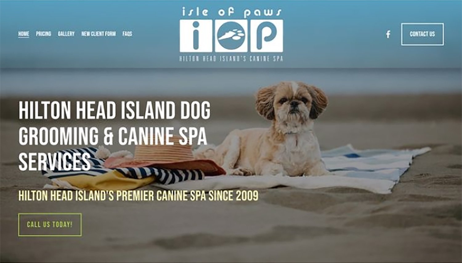 Dog lying on a blanket and towel on the beach, with a straw hat nearby, advertising Hilton Head Island dog's grooming and canine spa services.