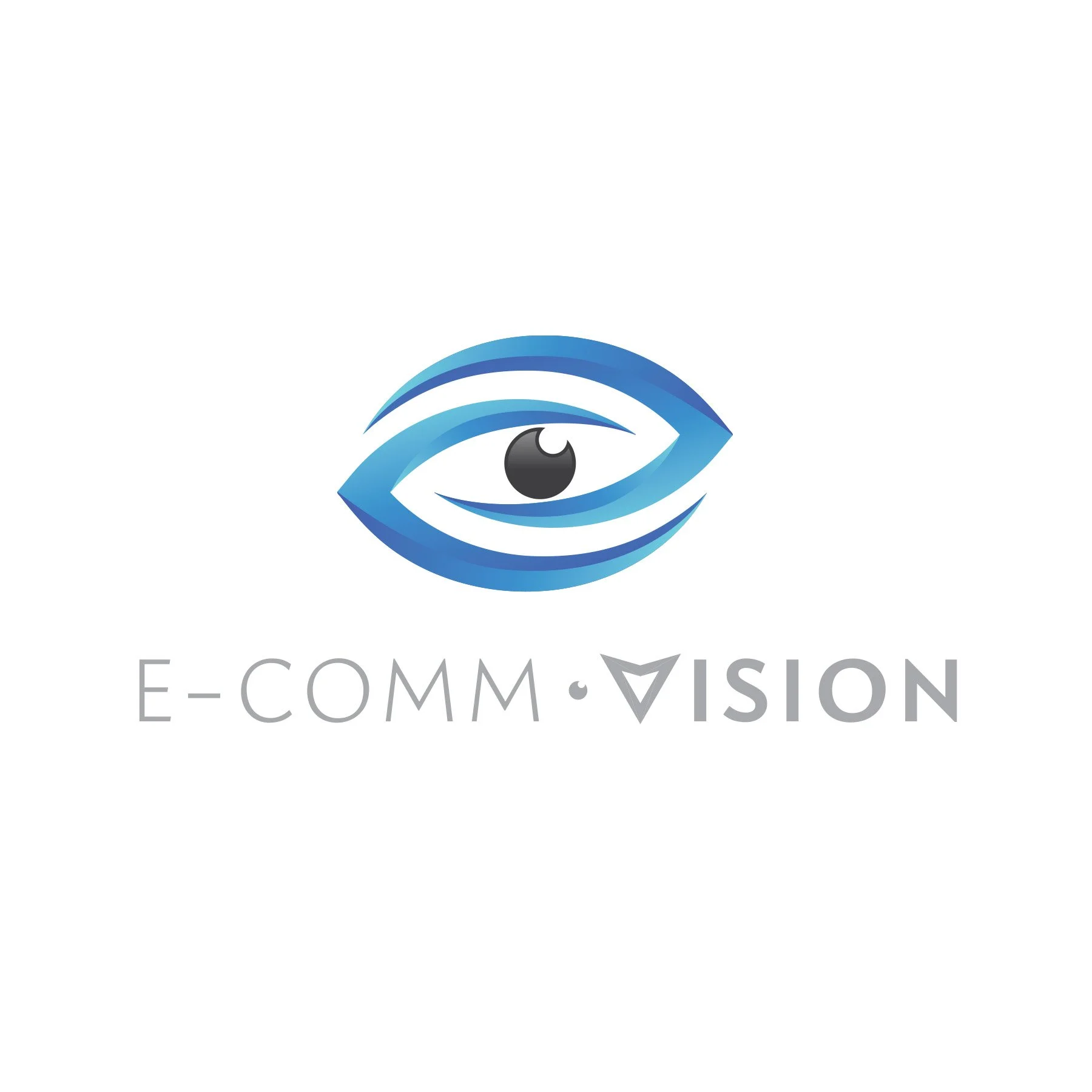 A logo features an eye with shades of blue, with the text 'E-COMM VISION' underneath in light gray.