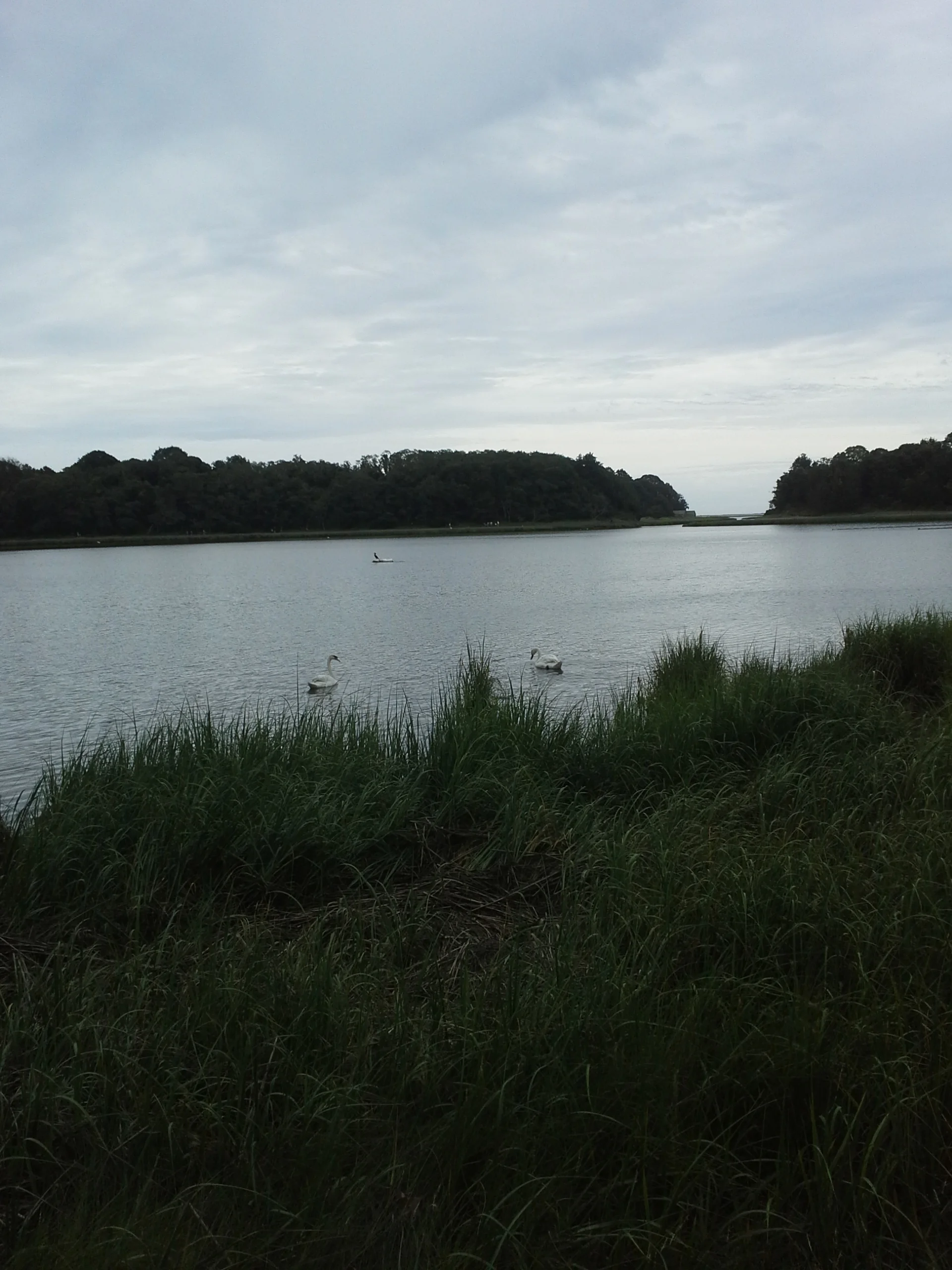 Cape Cod, a great place for reading