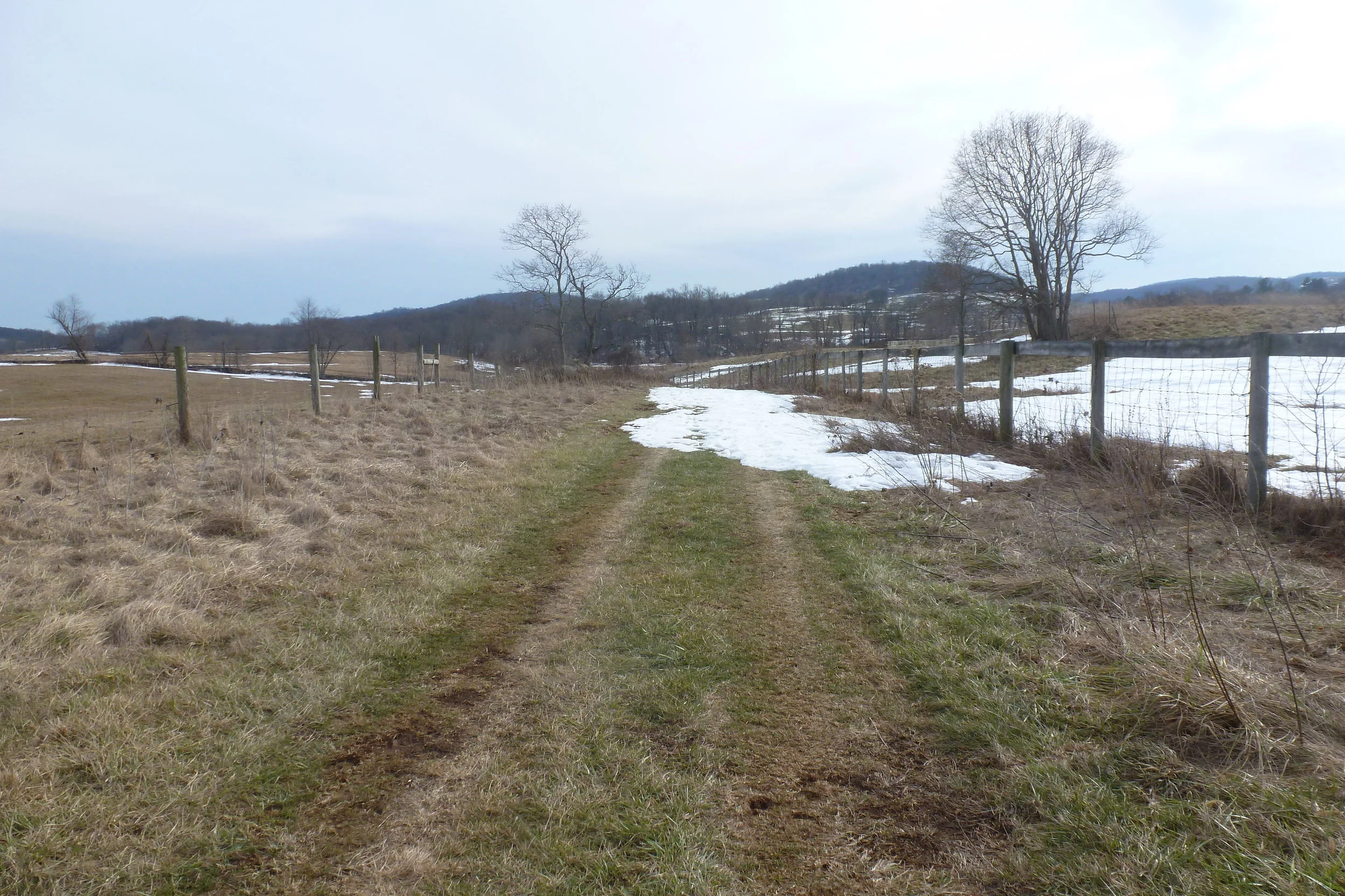 The groundhog says six more weeks of winter hiking, reading under blankets, and wearing stretch pants and sweatshirts.
