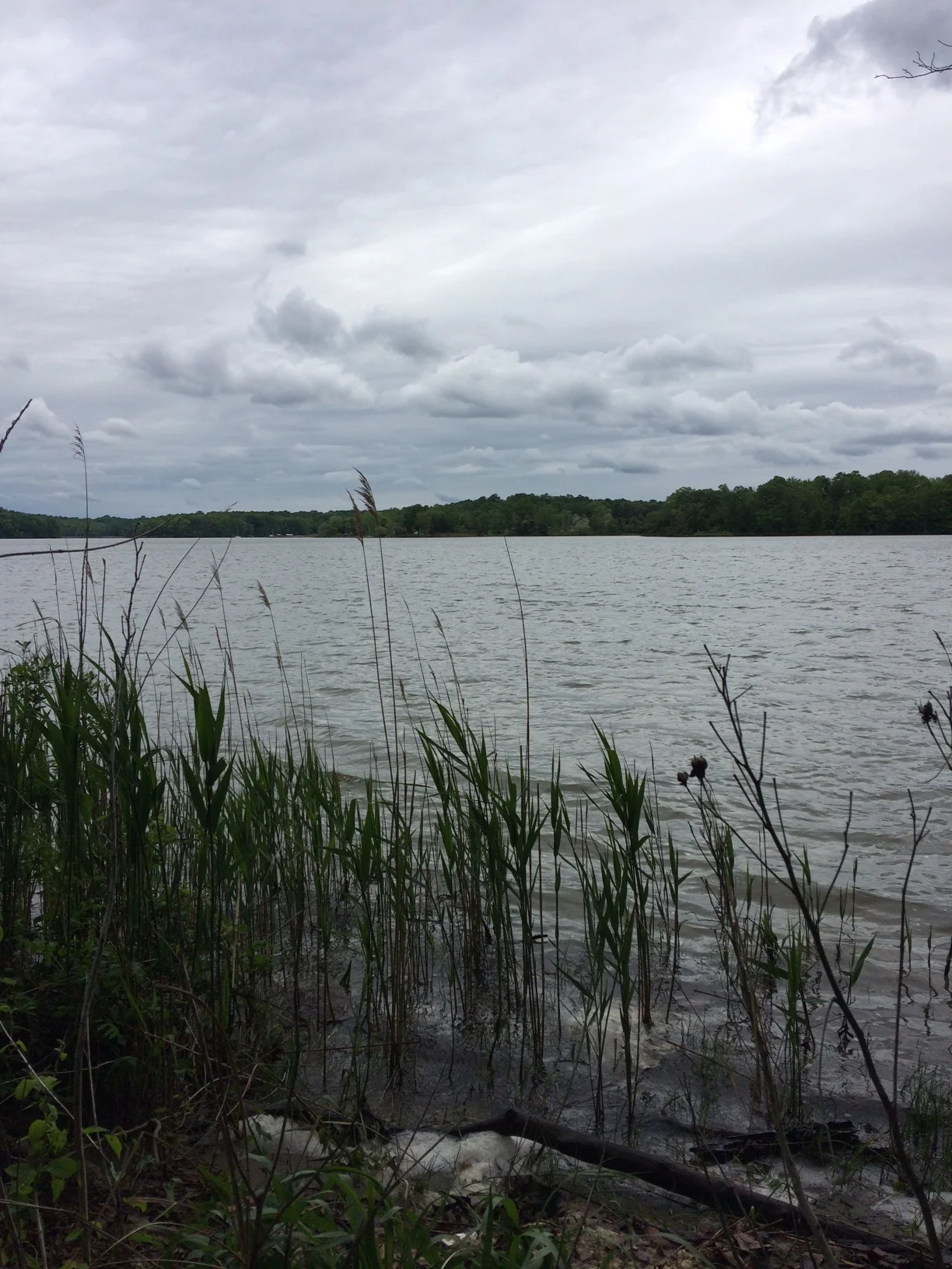 Camping near the Chesapeake Bay