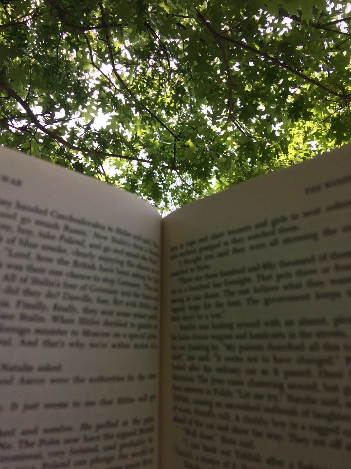 Making my way through The Winds of War on my hammock last weekend. A long book read outdoors=Heaven.