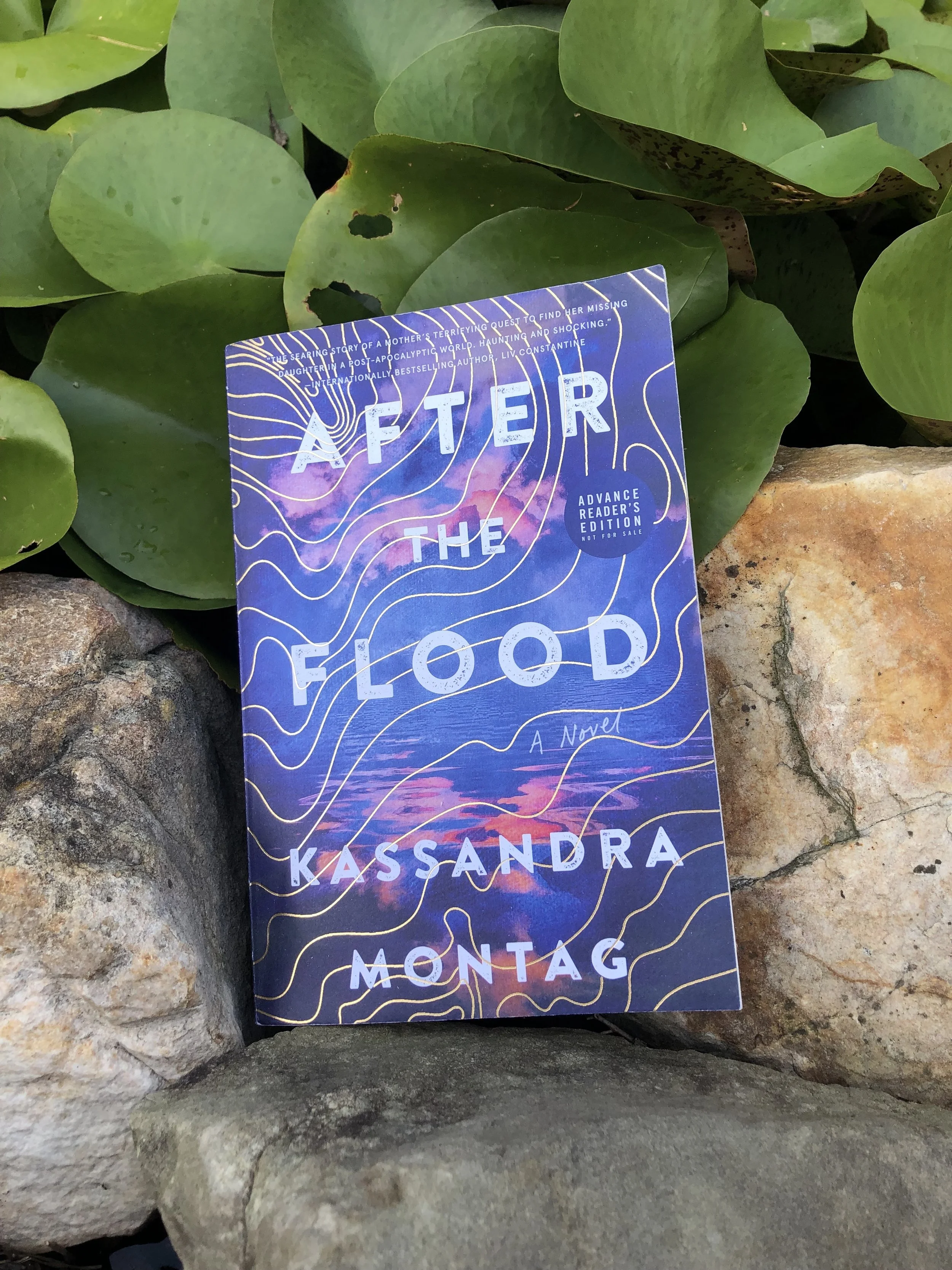 After The Flood by Kassandra Montag