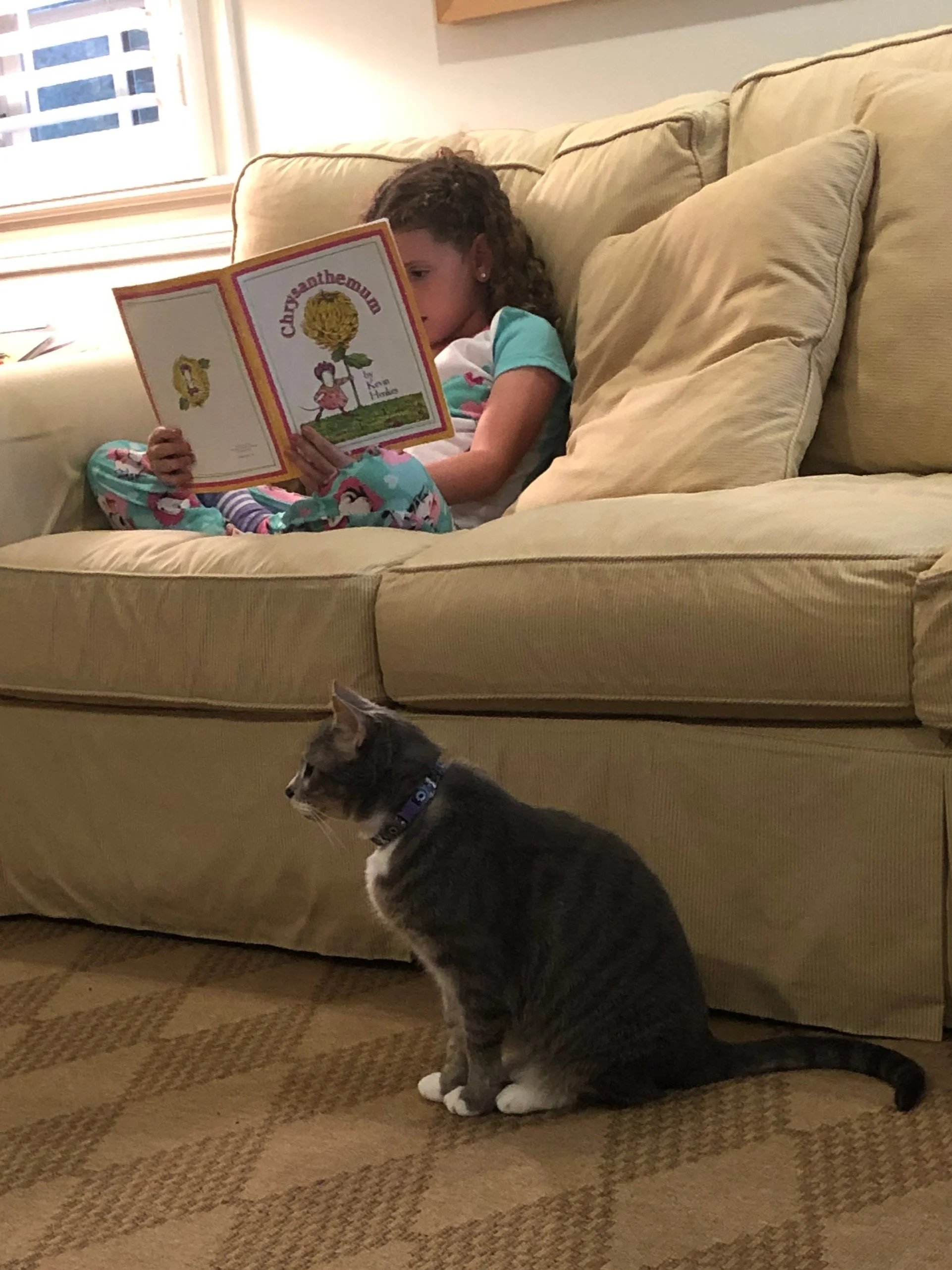 Our chief homework supervisor