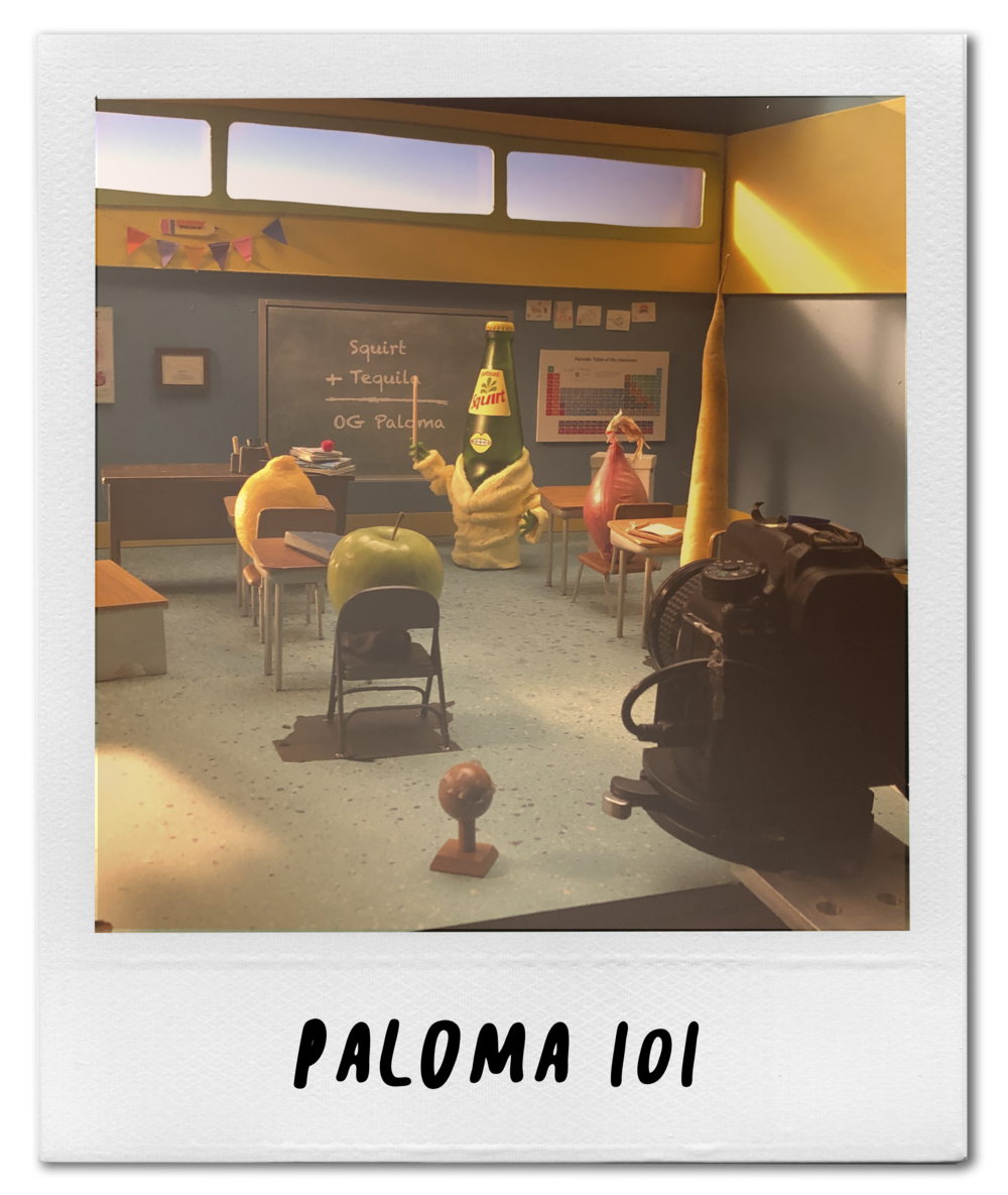Paloma101.png