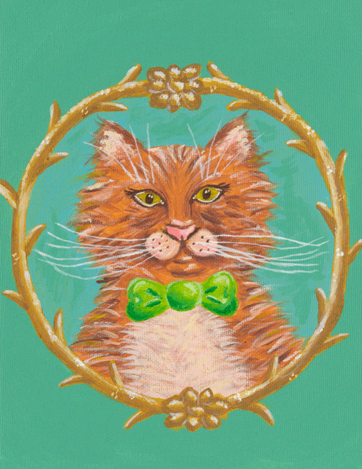 Mr-Kitty.gif