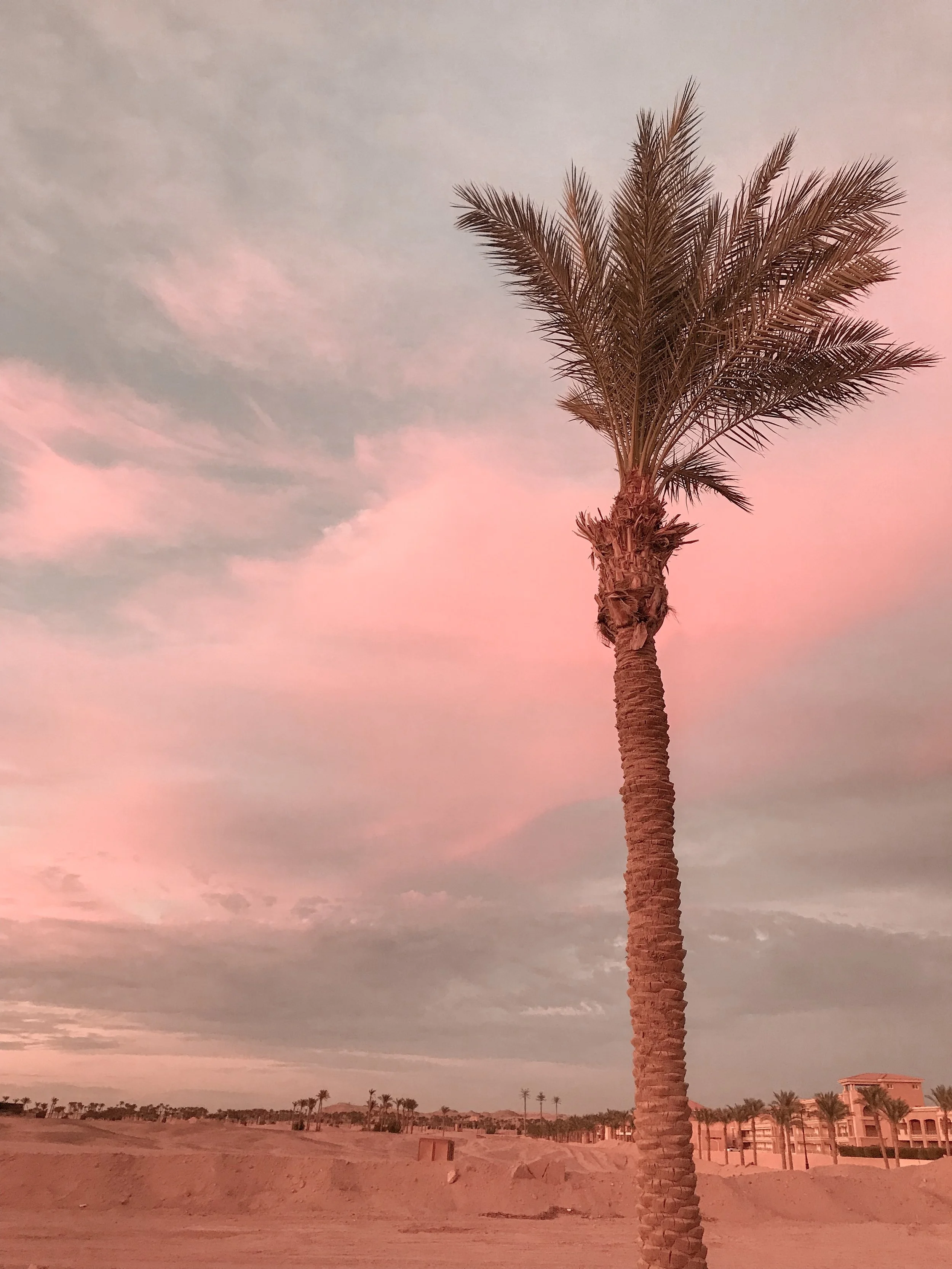 Postcard from Sahl Hasheesh