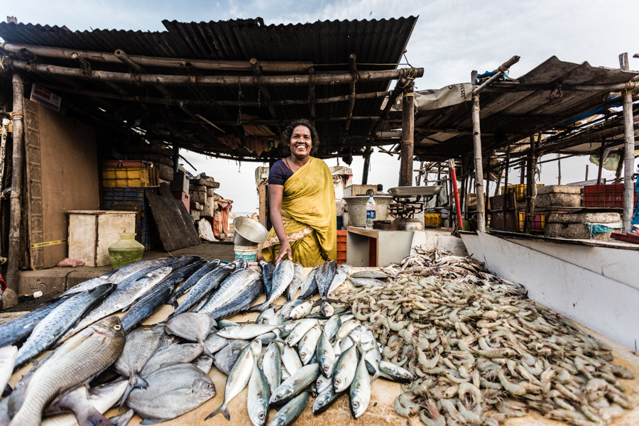 Fishmonger at the fish market adjacent to Chennai's Marina Beach.
