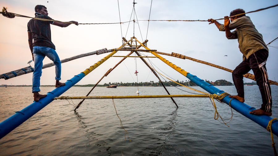 Kochi fisherman raising a shore operated lift net (known informally in India as a Chinese fishing net).