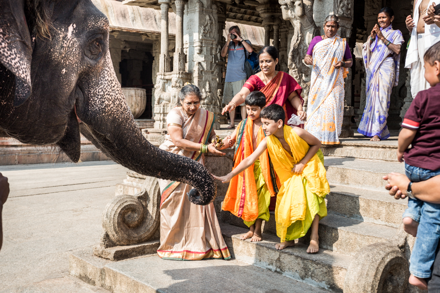 The resident elephant of Hampi's UNESCO designated Virupaksha Temple. The elephant is trained to take donations (in the form of coins) in exchange for a kiss.