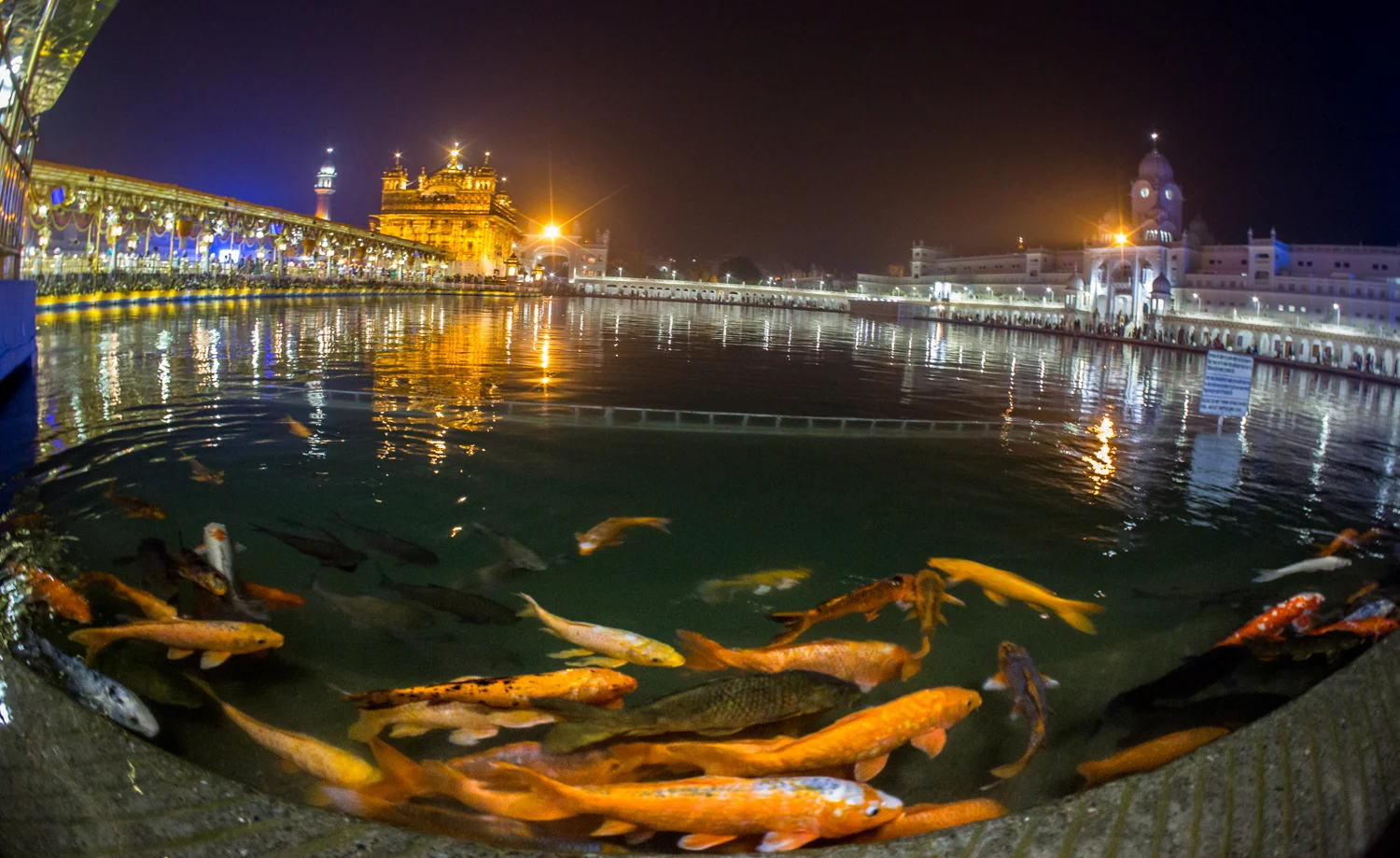 The lake surrounding the Golden Temple.&nbsp;