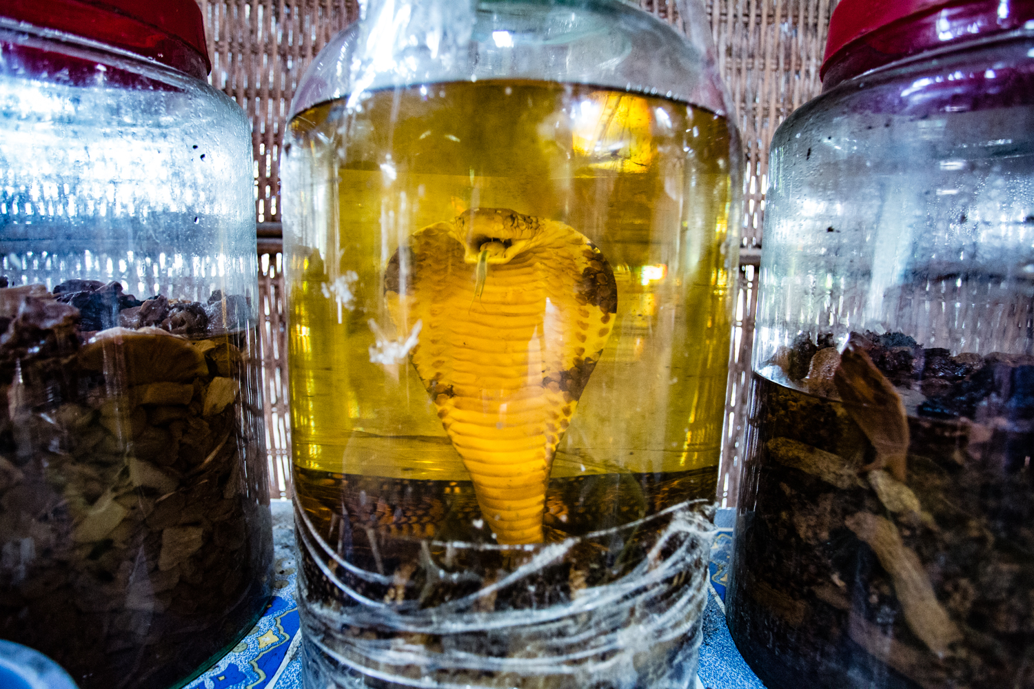 Snake wine is popular throughout Vietnam and is believed to have medicinal properties. 
