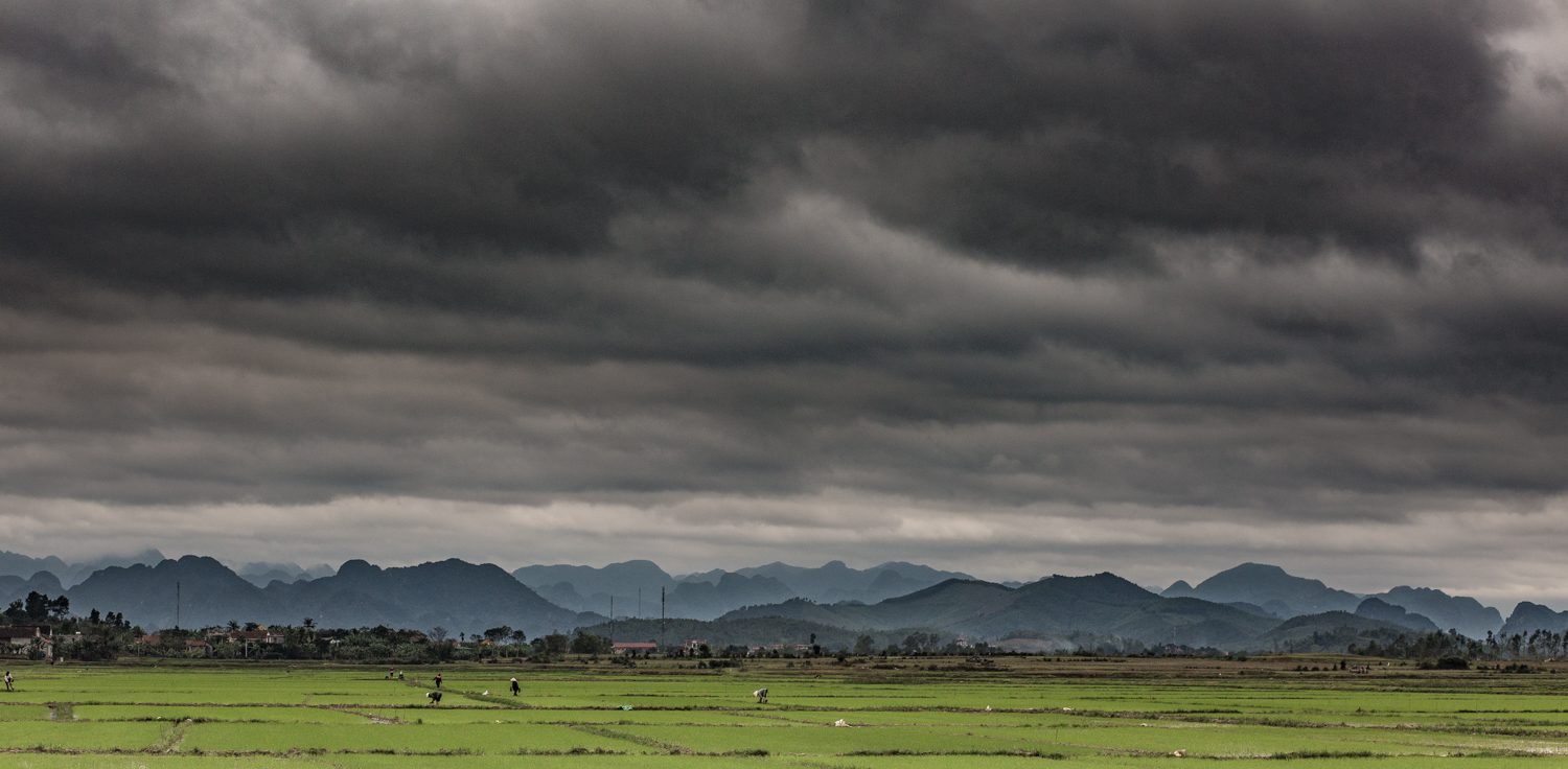Villagers tending to their rice patties near the Phong Nha National Park. 