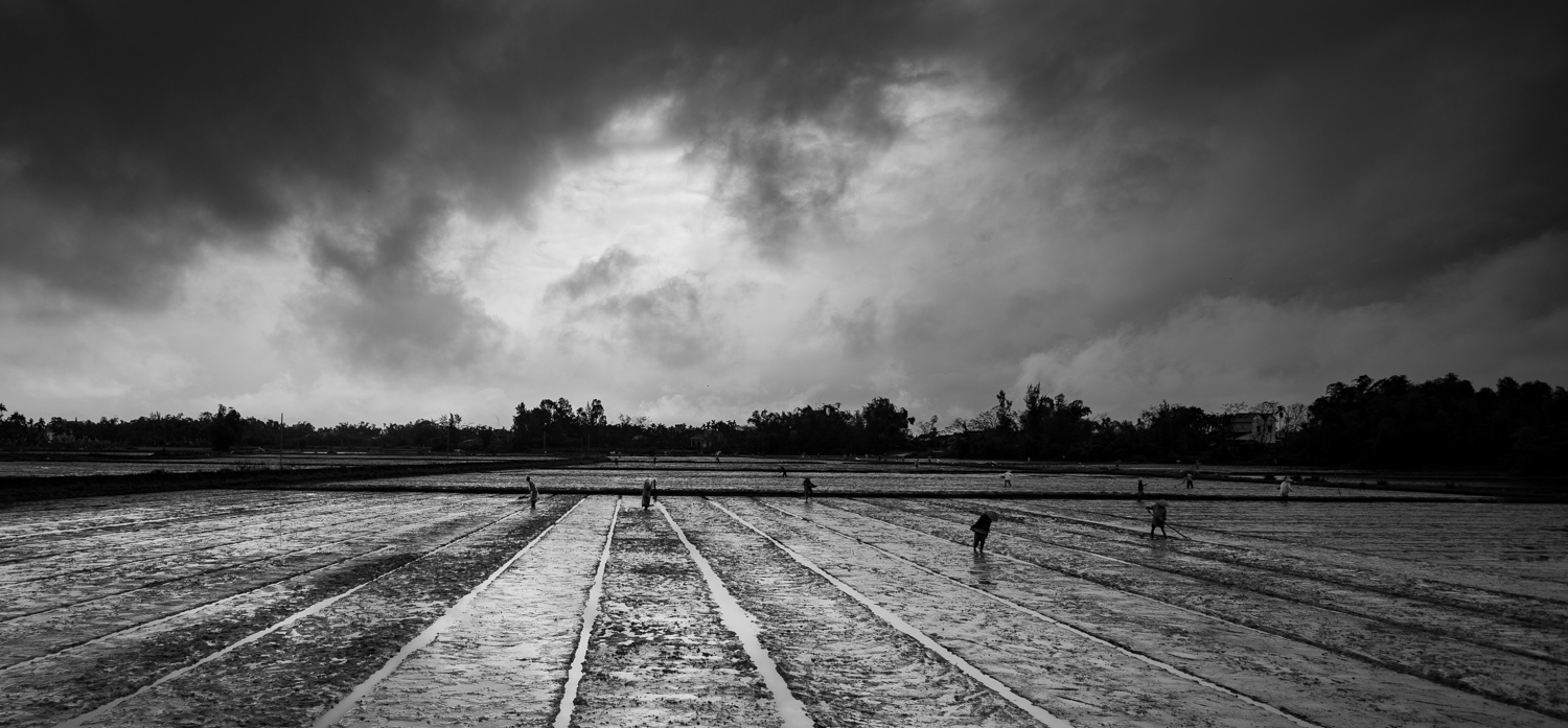 Villagers tending to their crops near Hoi An. 