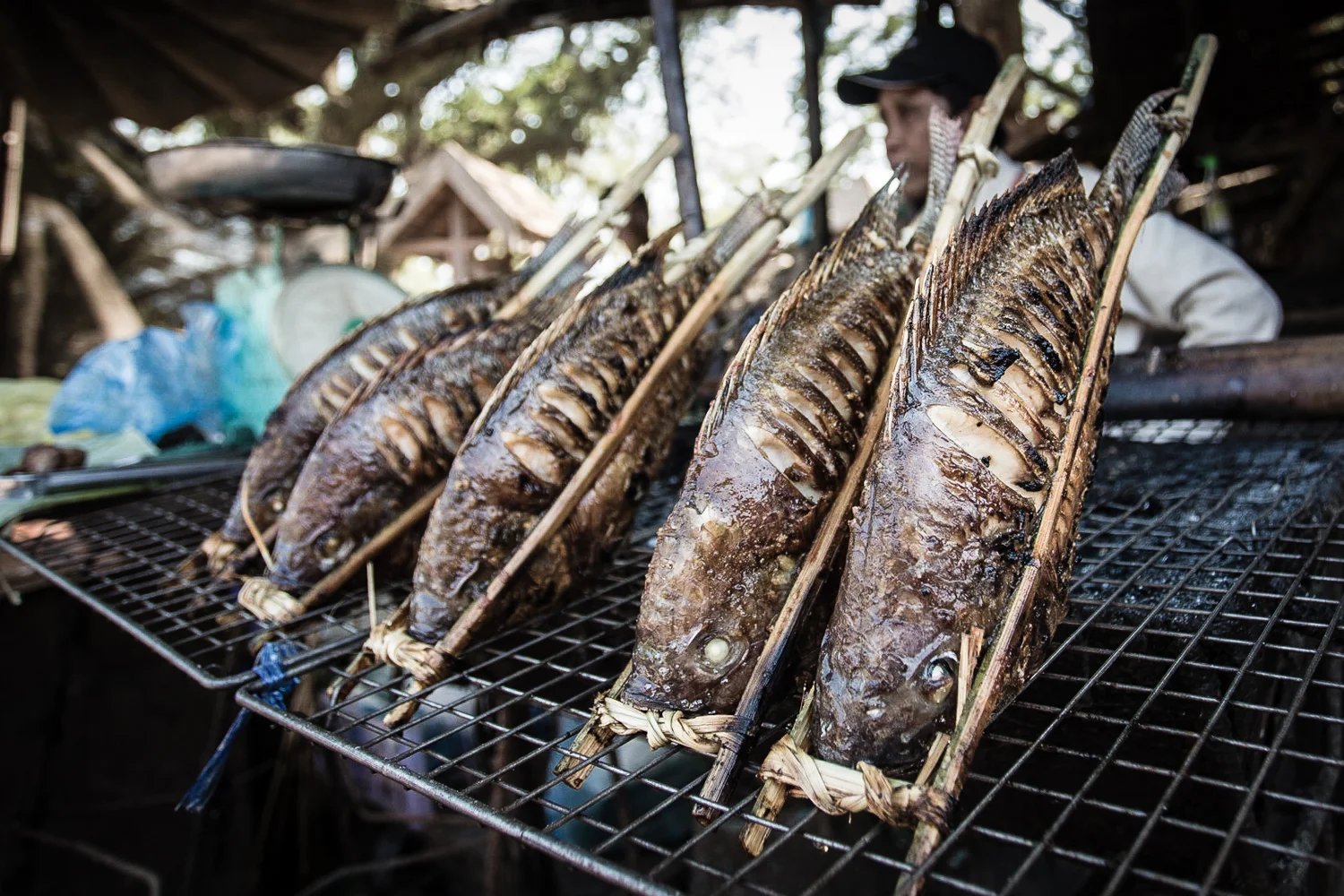 The catch of the day sold as street food in Laos.