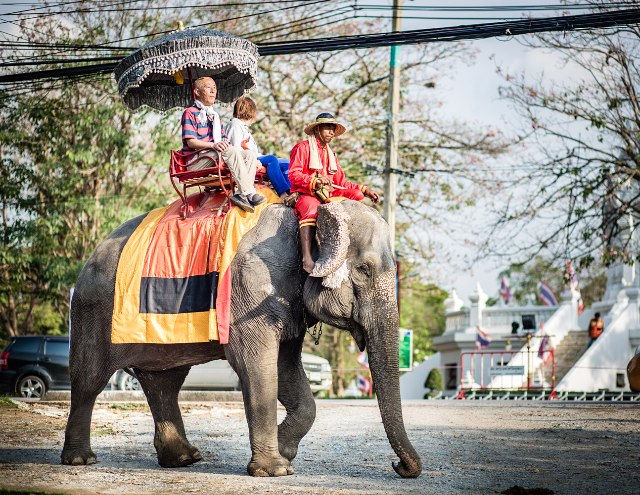 Tourists can take short elephant rides around the city center. 