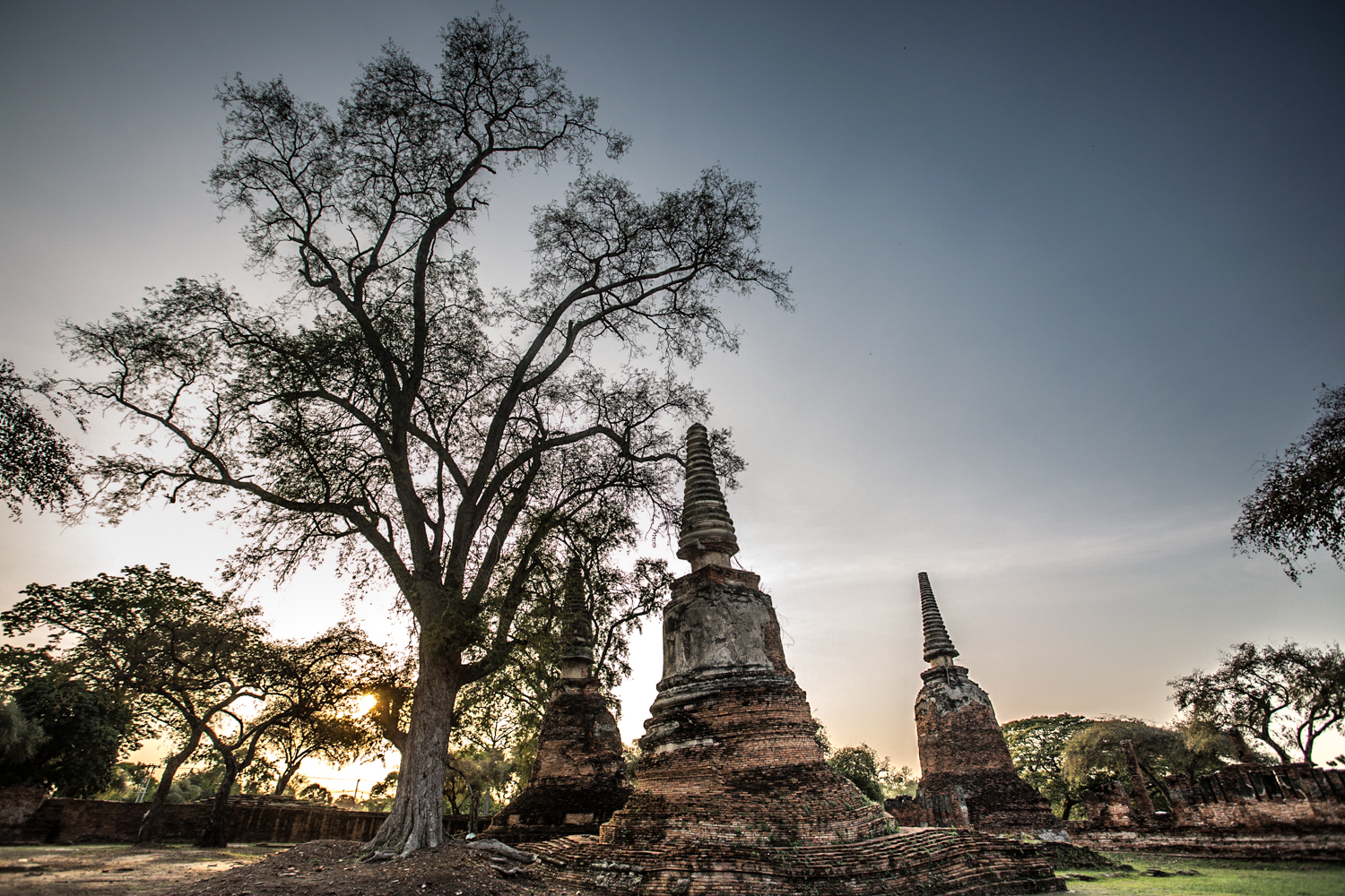 Stupas in the Wat Phra Si Sanphet complex. 